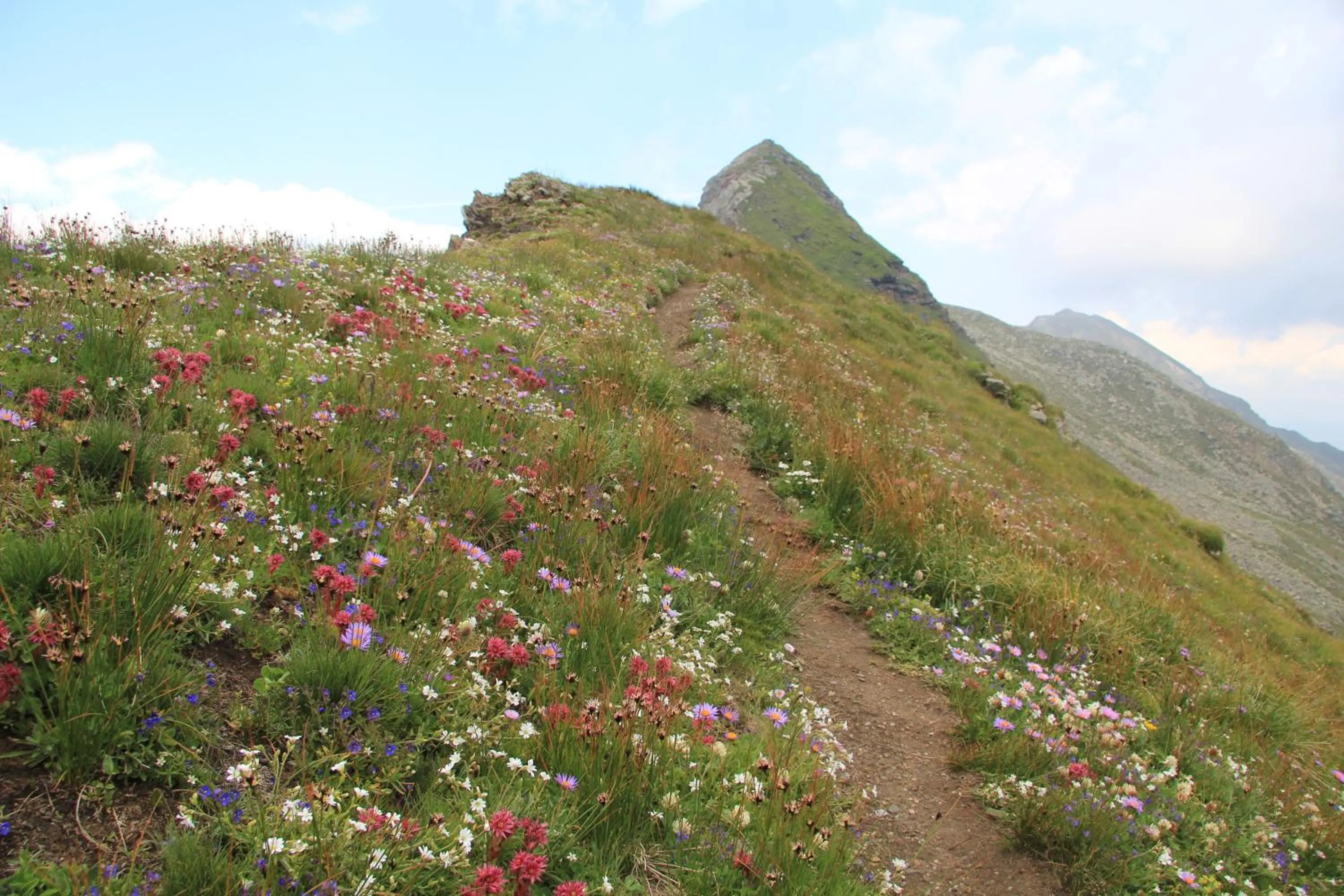 Spring in Residence Sonnenburger - Biobauernhof - Azienda agricola biologica