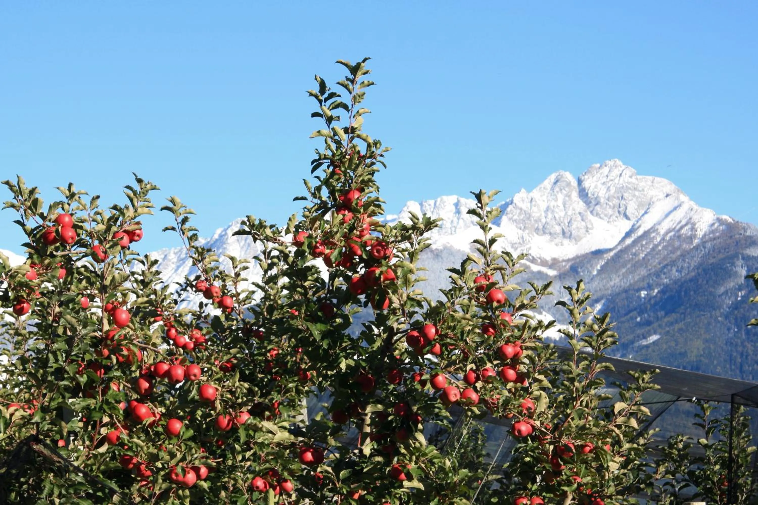Natural landscape in Residence Sonnenburger - Biobauernhof - Azienda agricola biologica