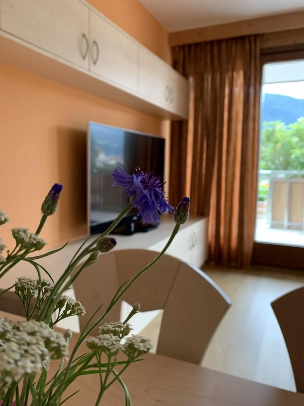 TV and multimedia in Residence Sonnenburger - Biobauernhof - Azienda agricola biologica