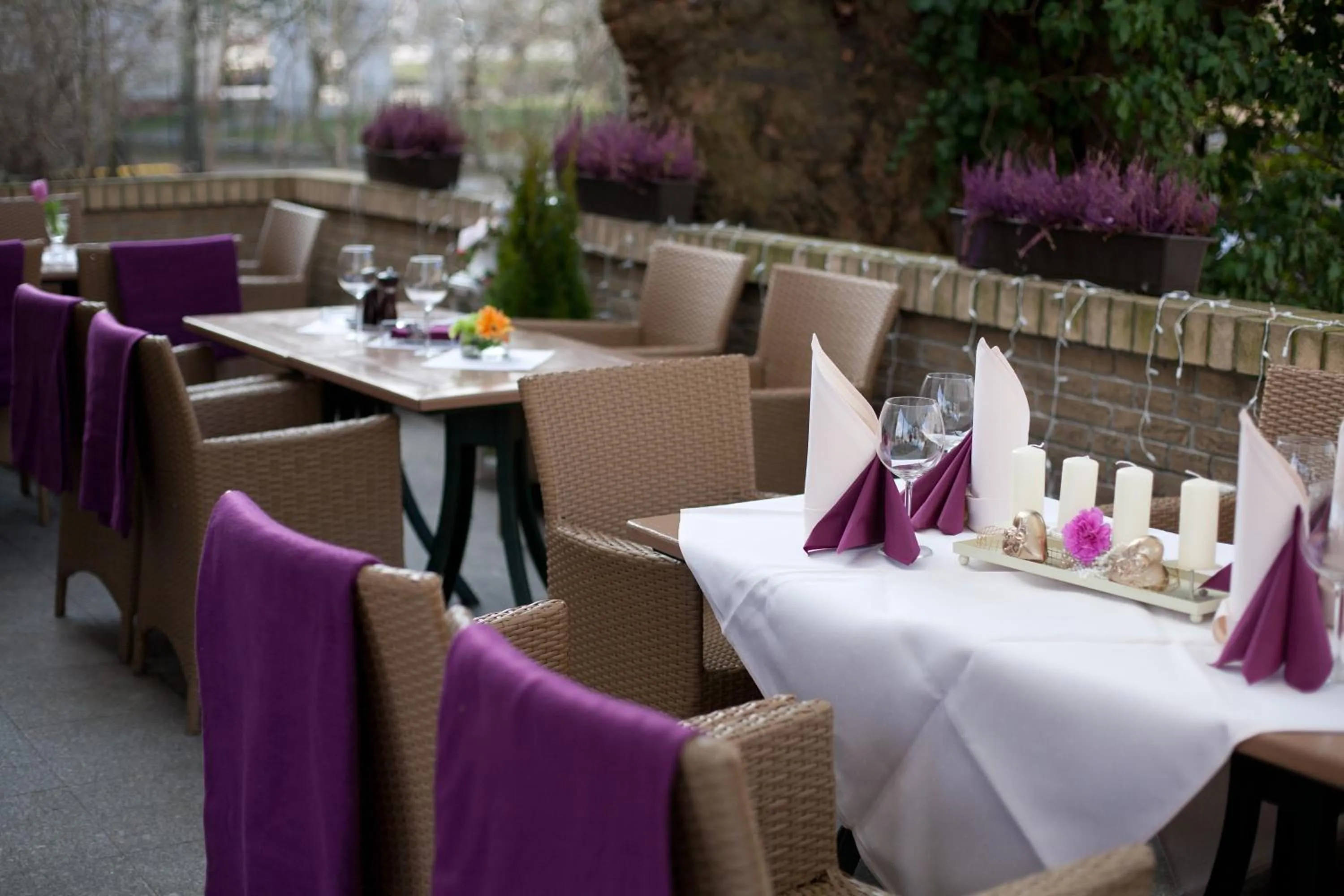 Balcony/Terrace in Hotel Villa Casino