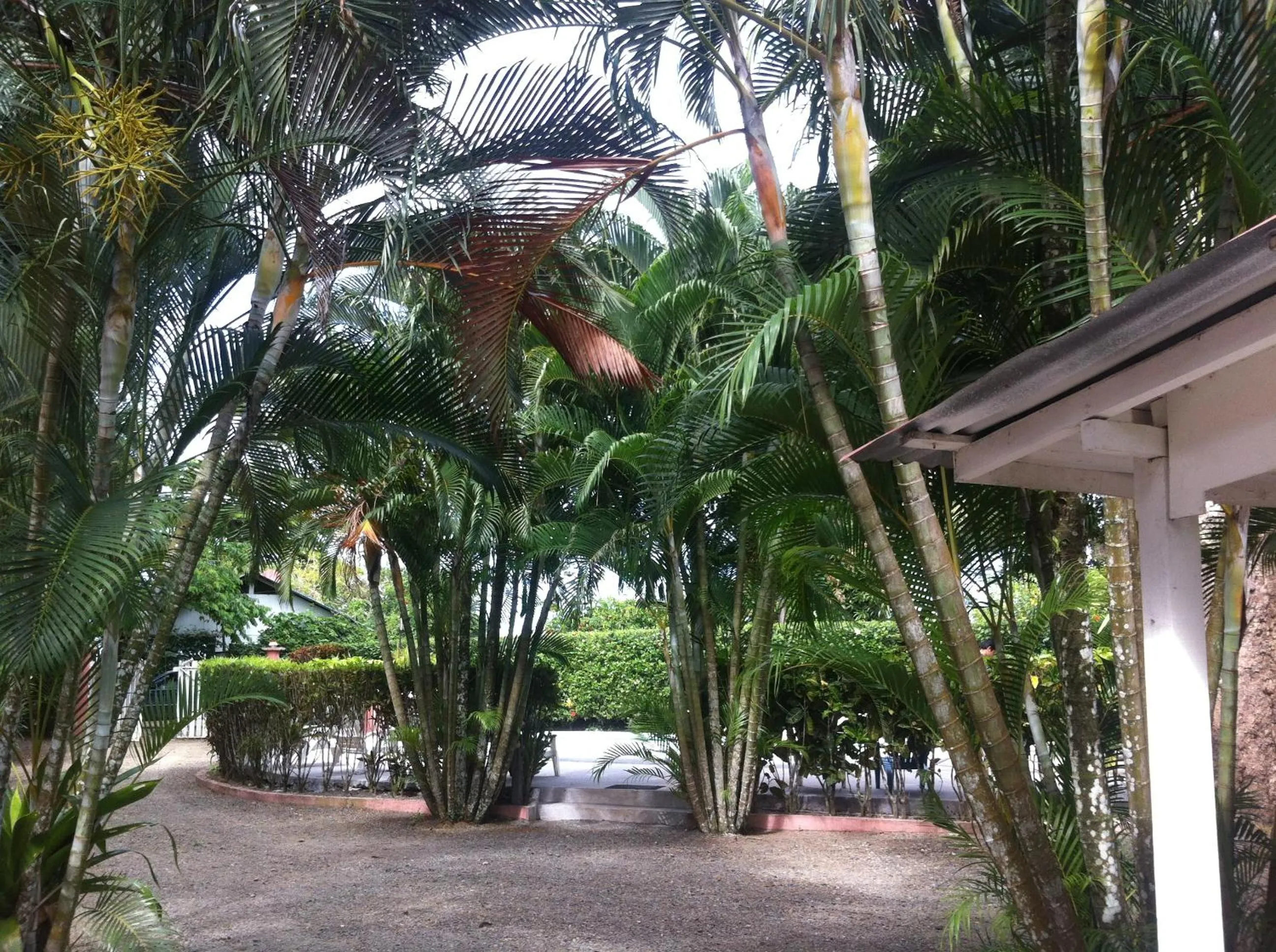 Garden in Villas Majolana