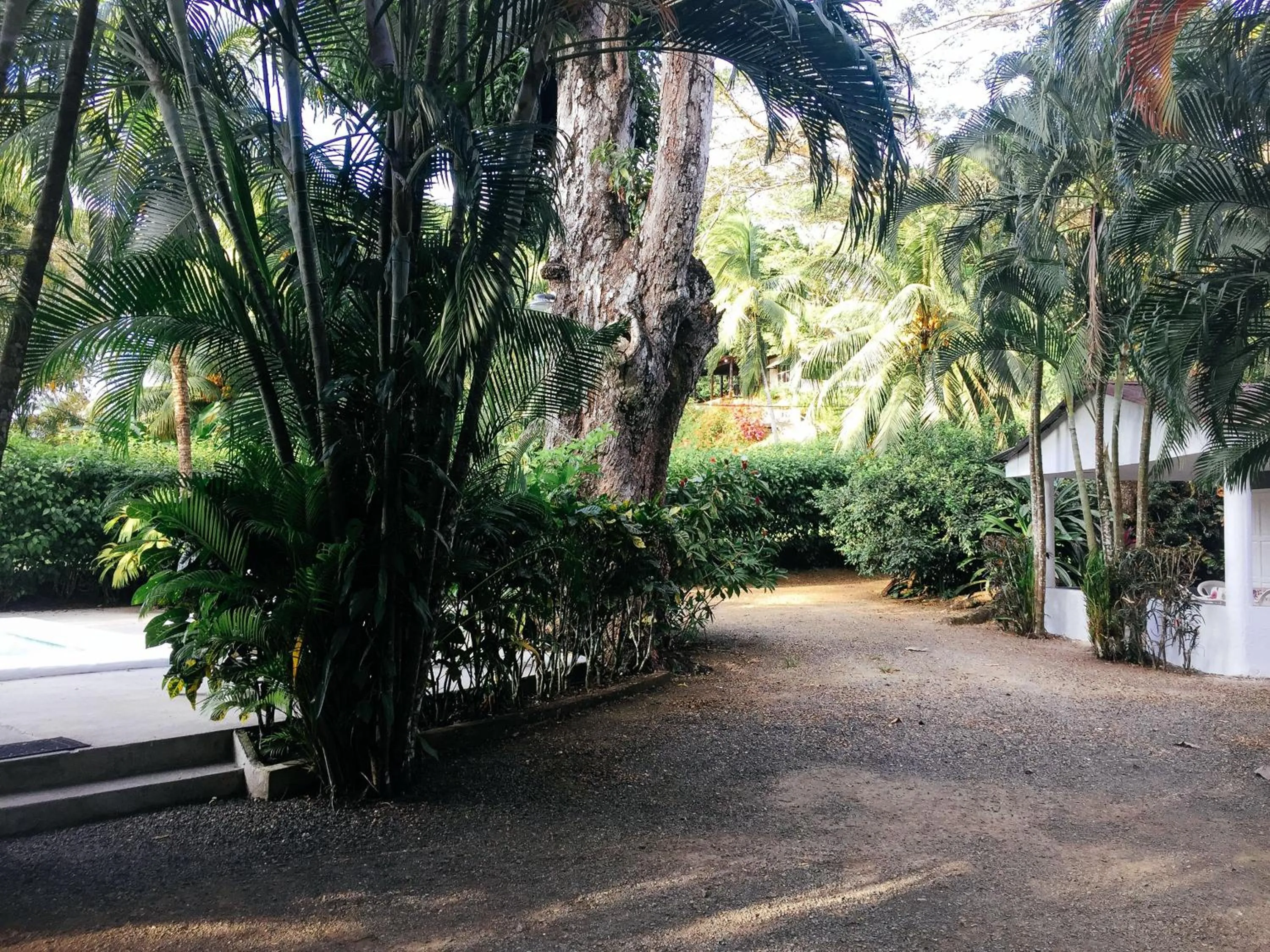 Garden in Villas Majolana