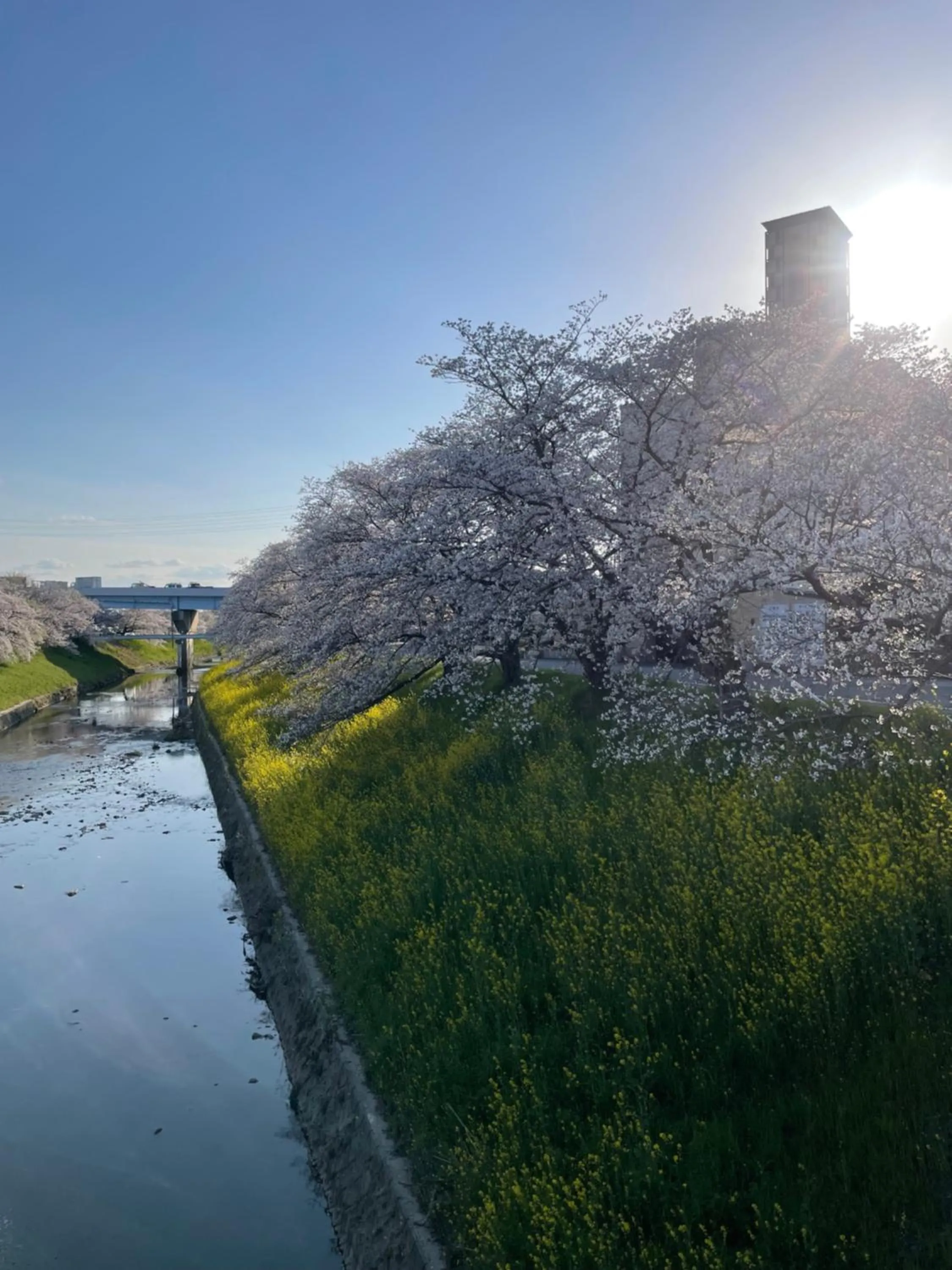 Spring in AURA Resort Nara (Adult Only)