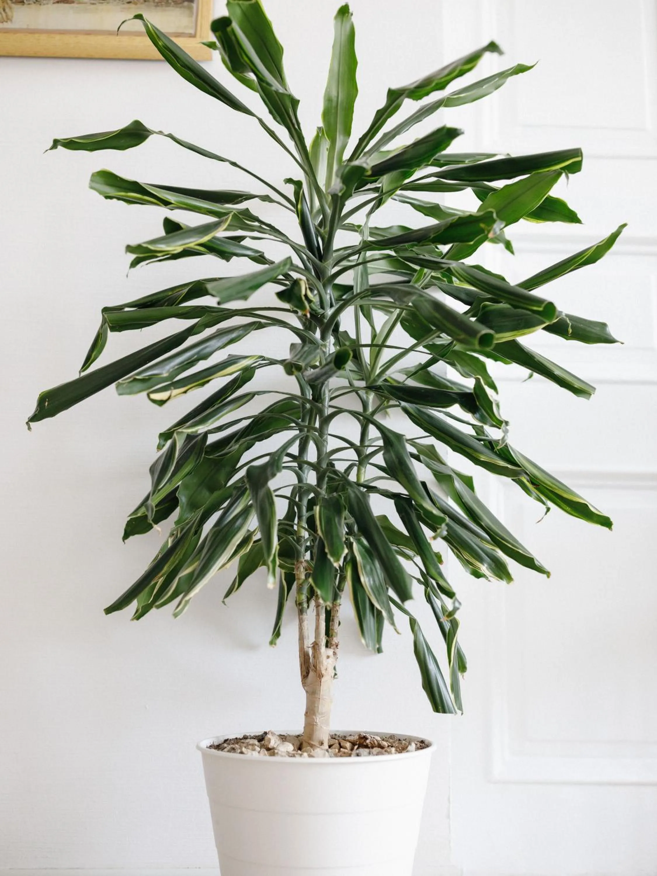 Decorative detail in Mariinsky Boutique Hotel