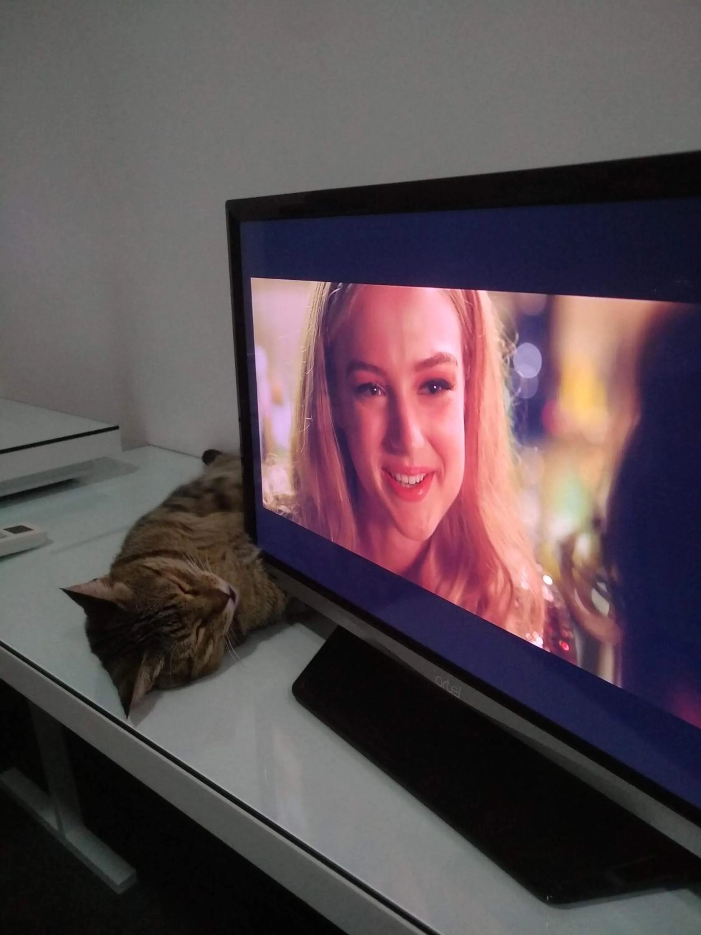 TV and multimedia in Sakura Inn