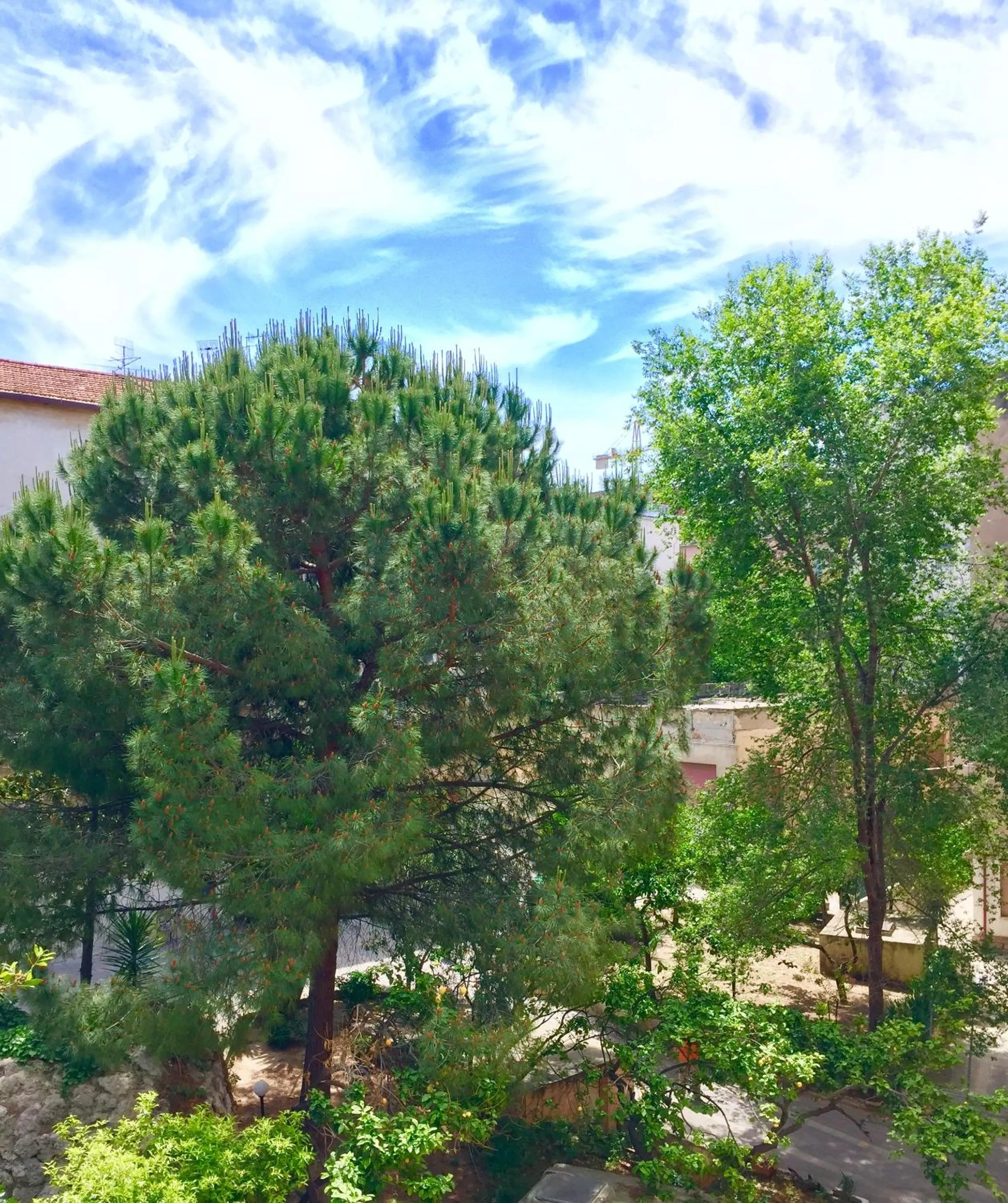Balcony/Terrace in Angioy 18