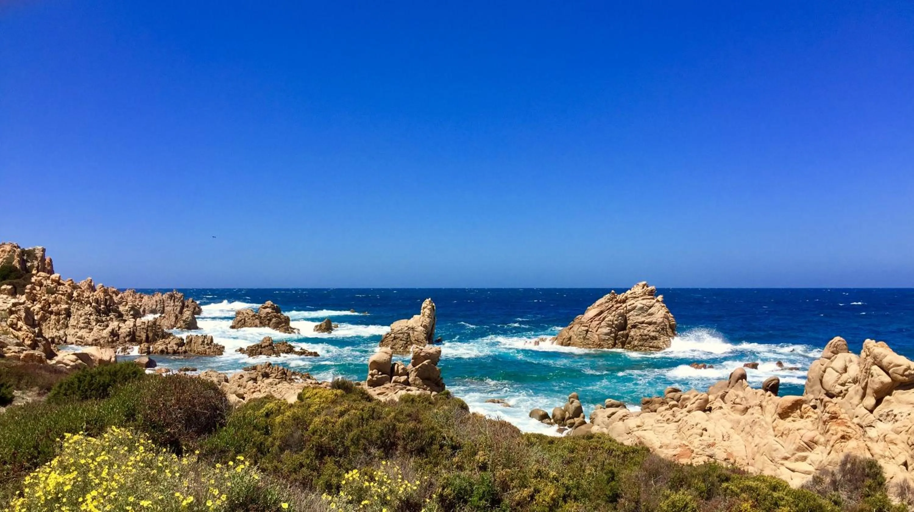 Off site in Angioy 18