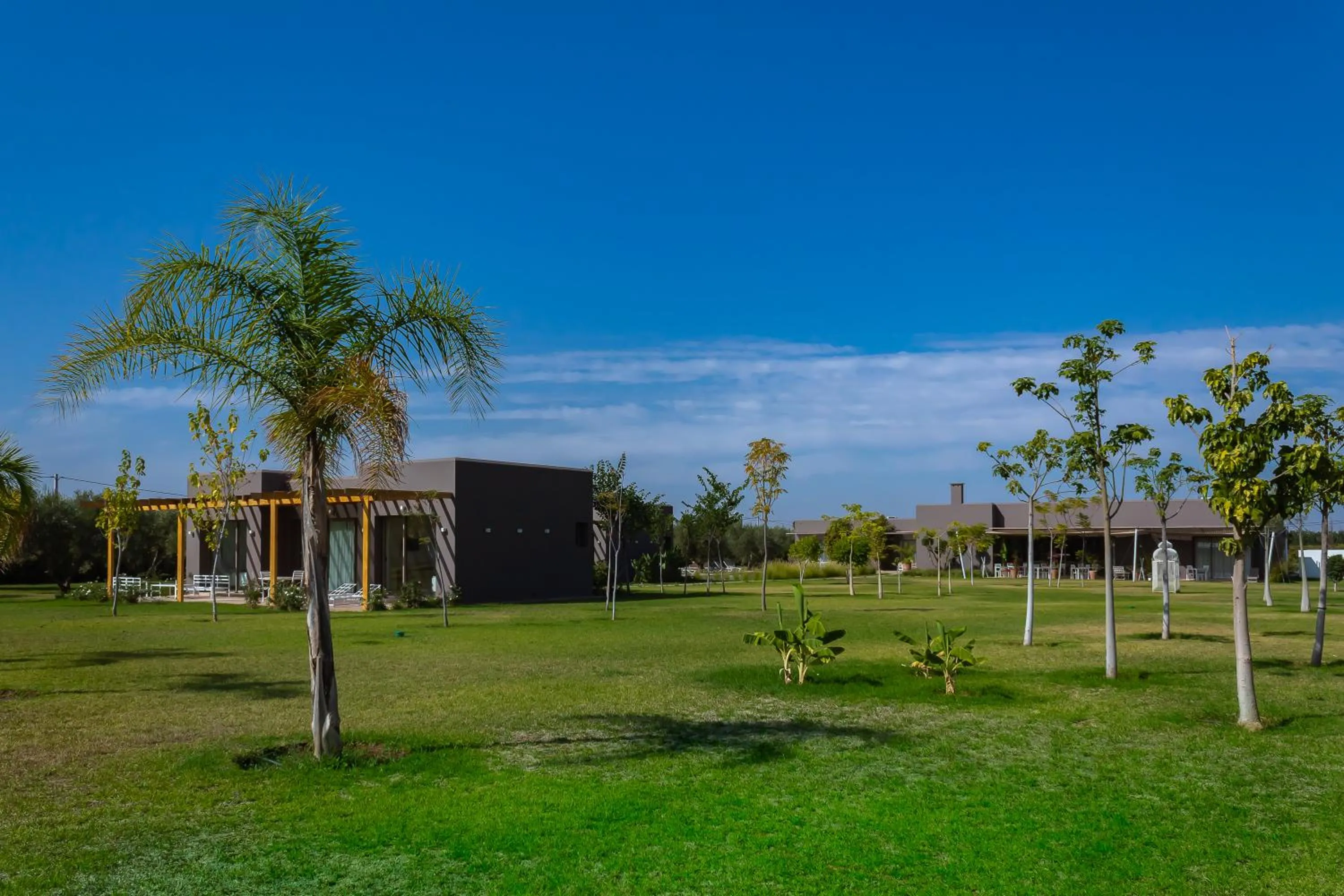 Garden view in Villa Jardins D'Isa