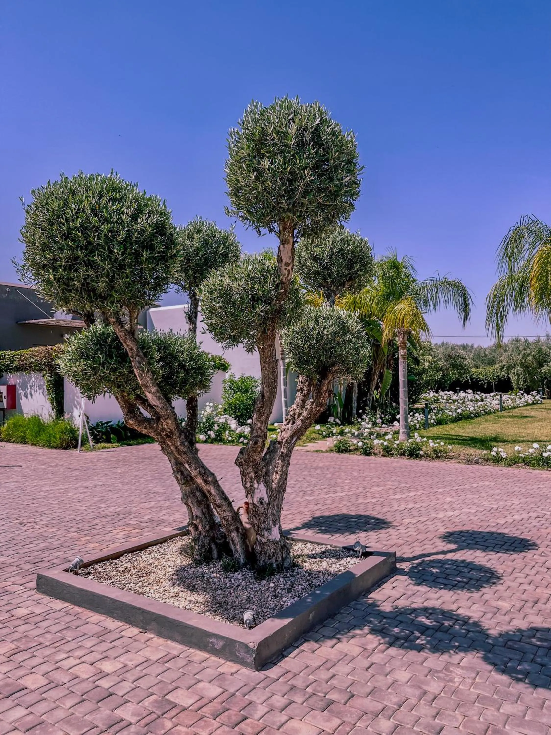 Parking in Villa Jardins D'Isa