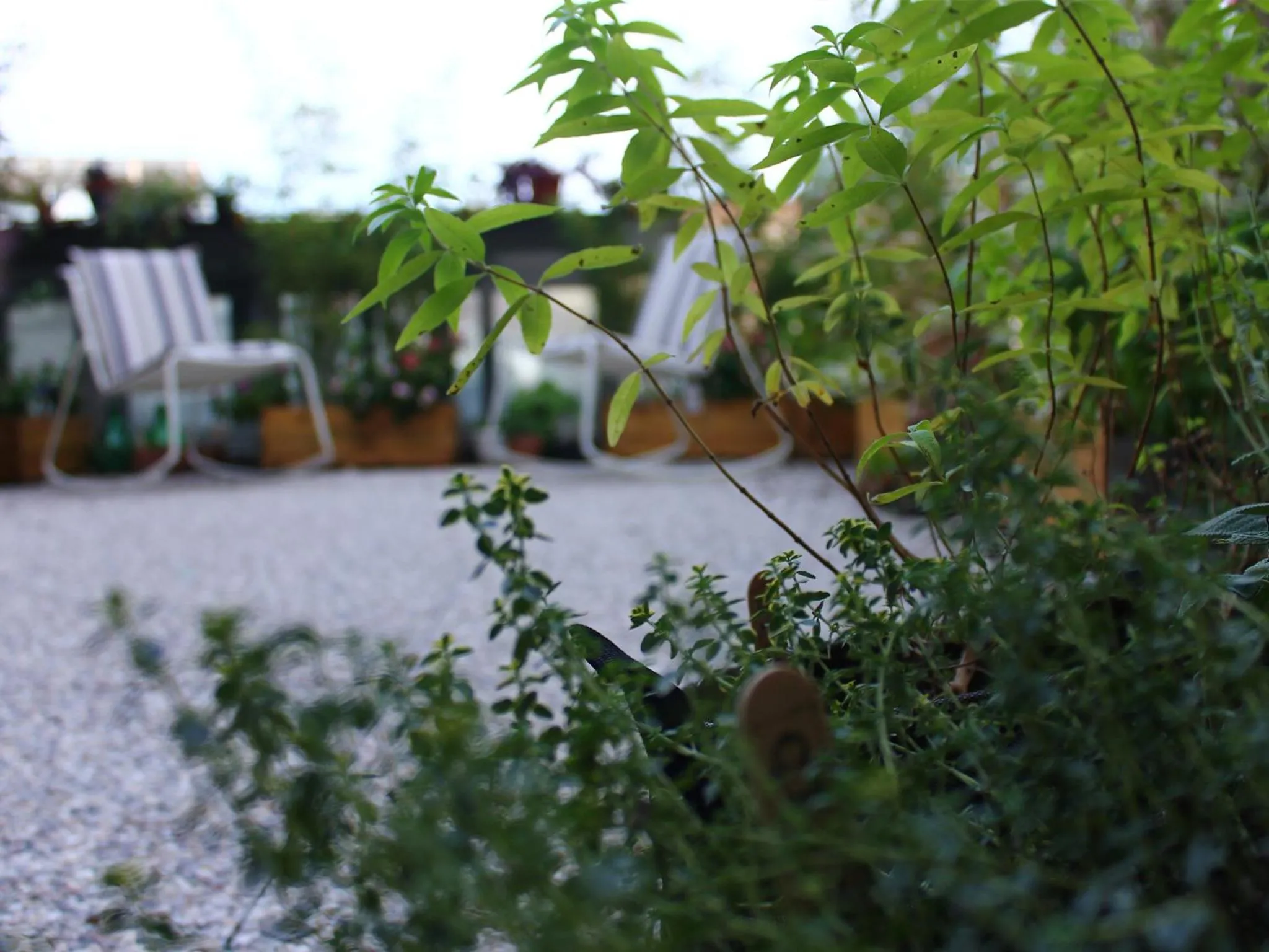 Garden in Casa Leggera