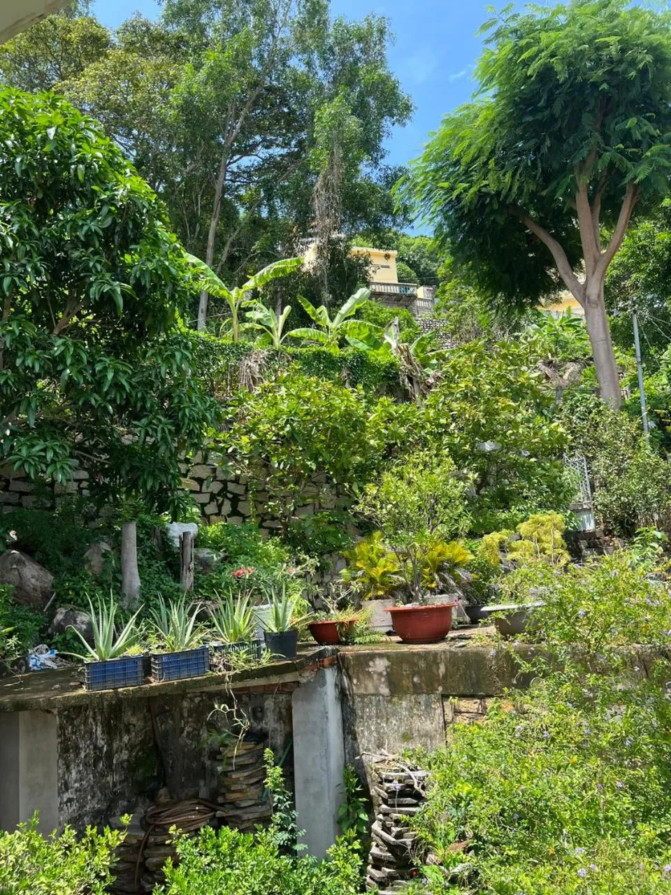 Cassabella Hotel & Apartments