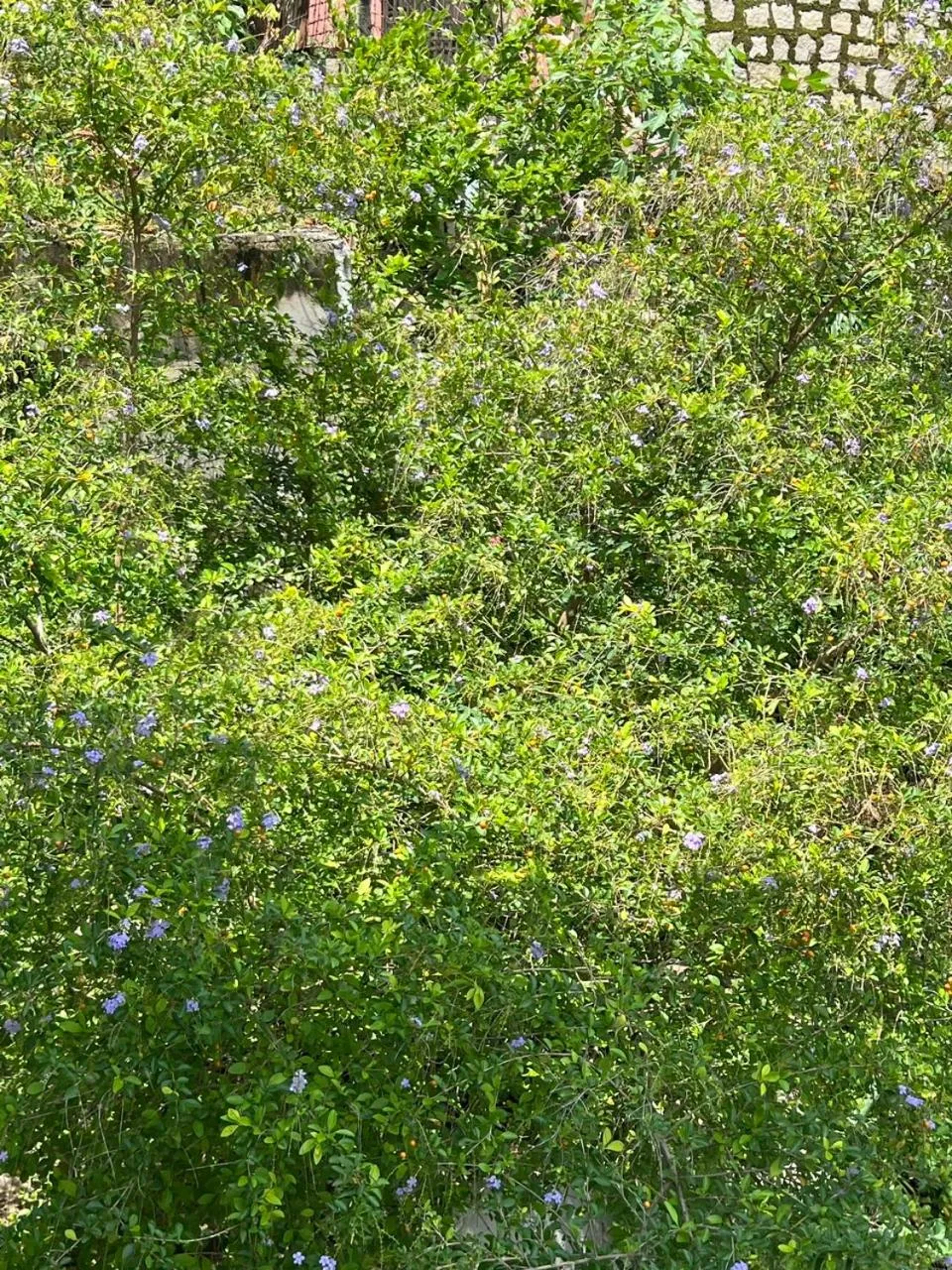 Cassabella Hotel & Apartments