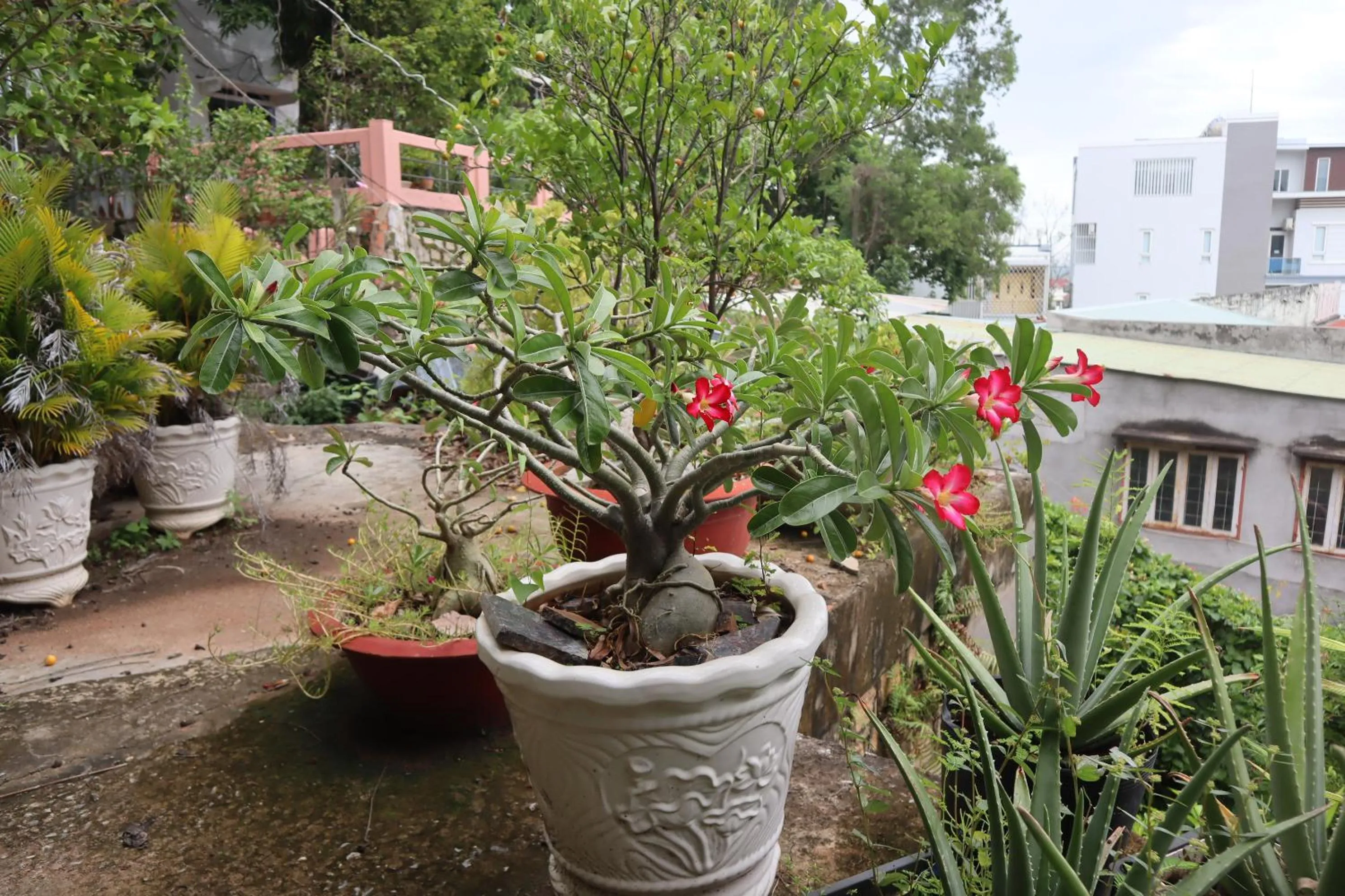 Cassabella Hotel & Apartments