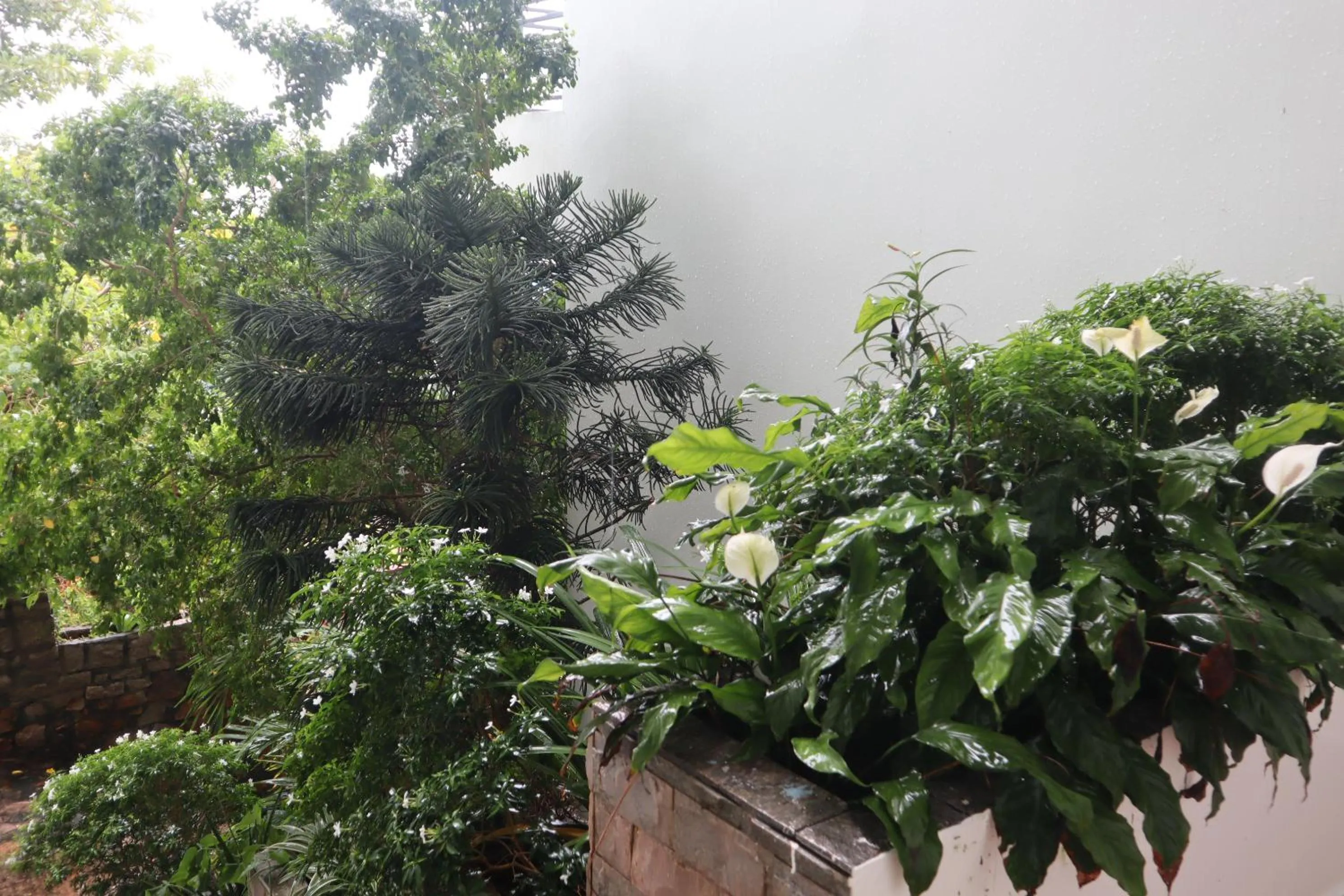 Cassabella Hotel & Apartments