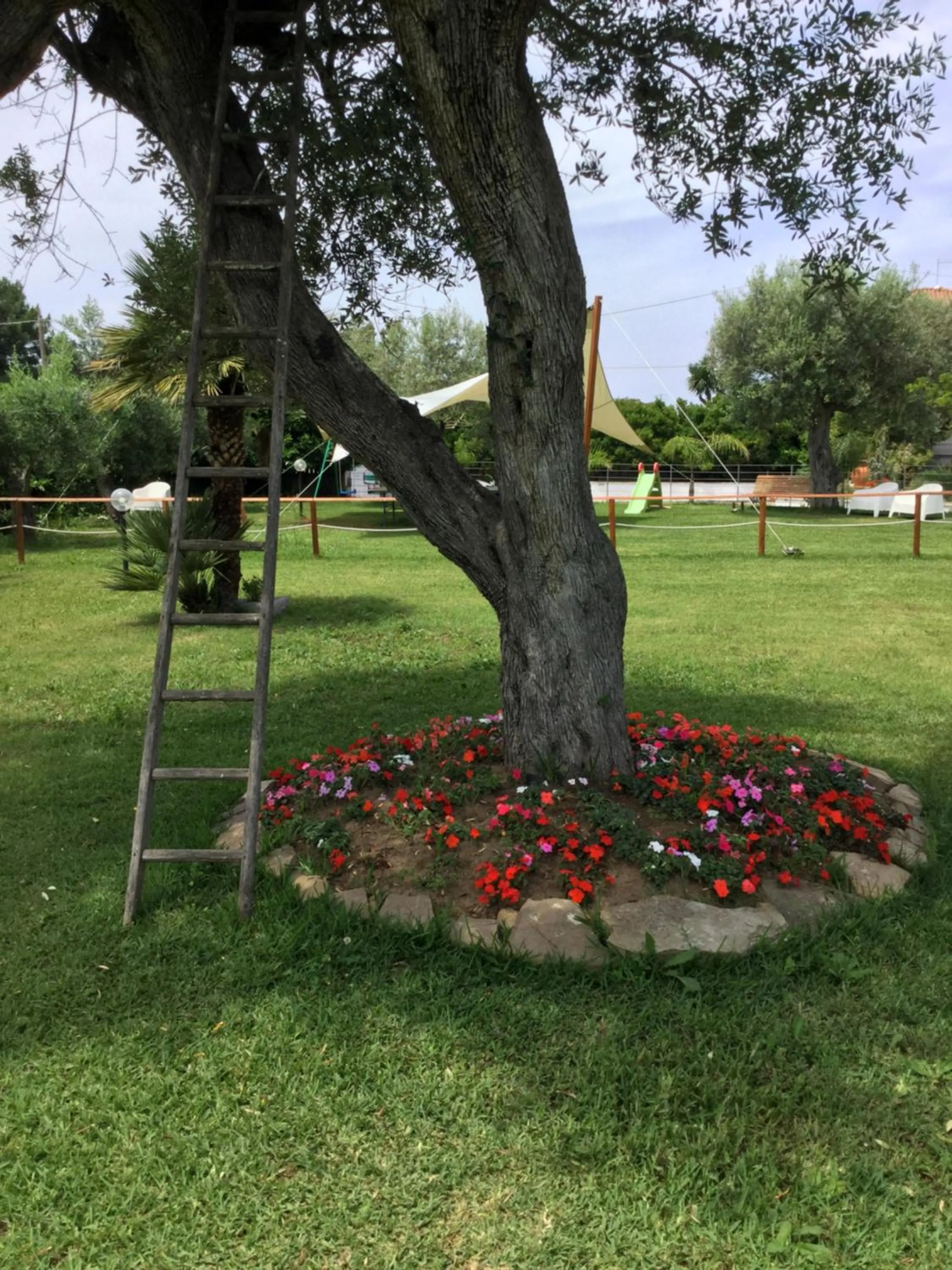 Garden in Villa Liberti