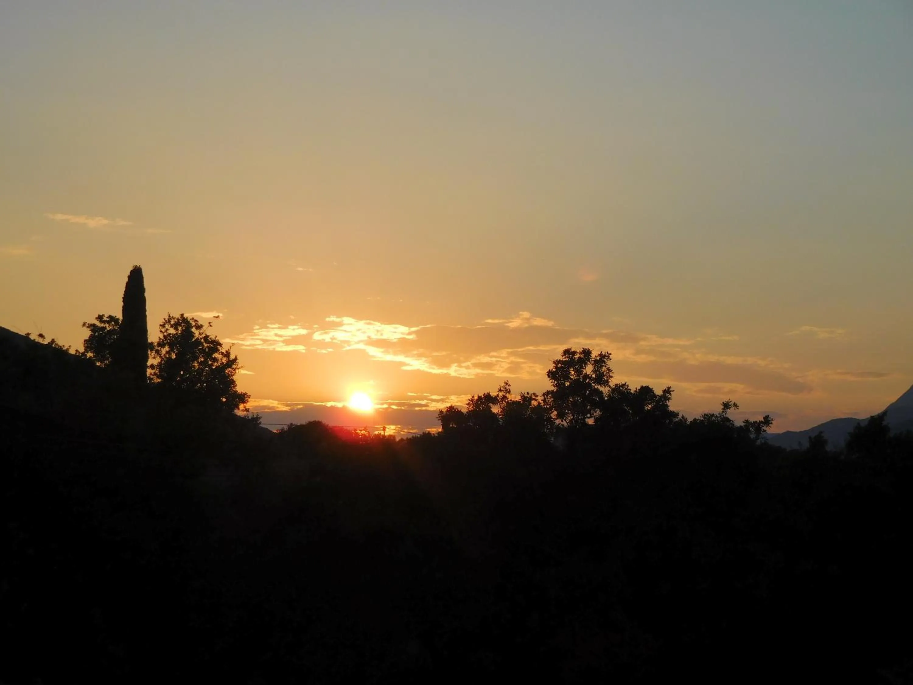 Apartments Sunrise