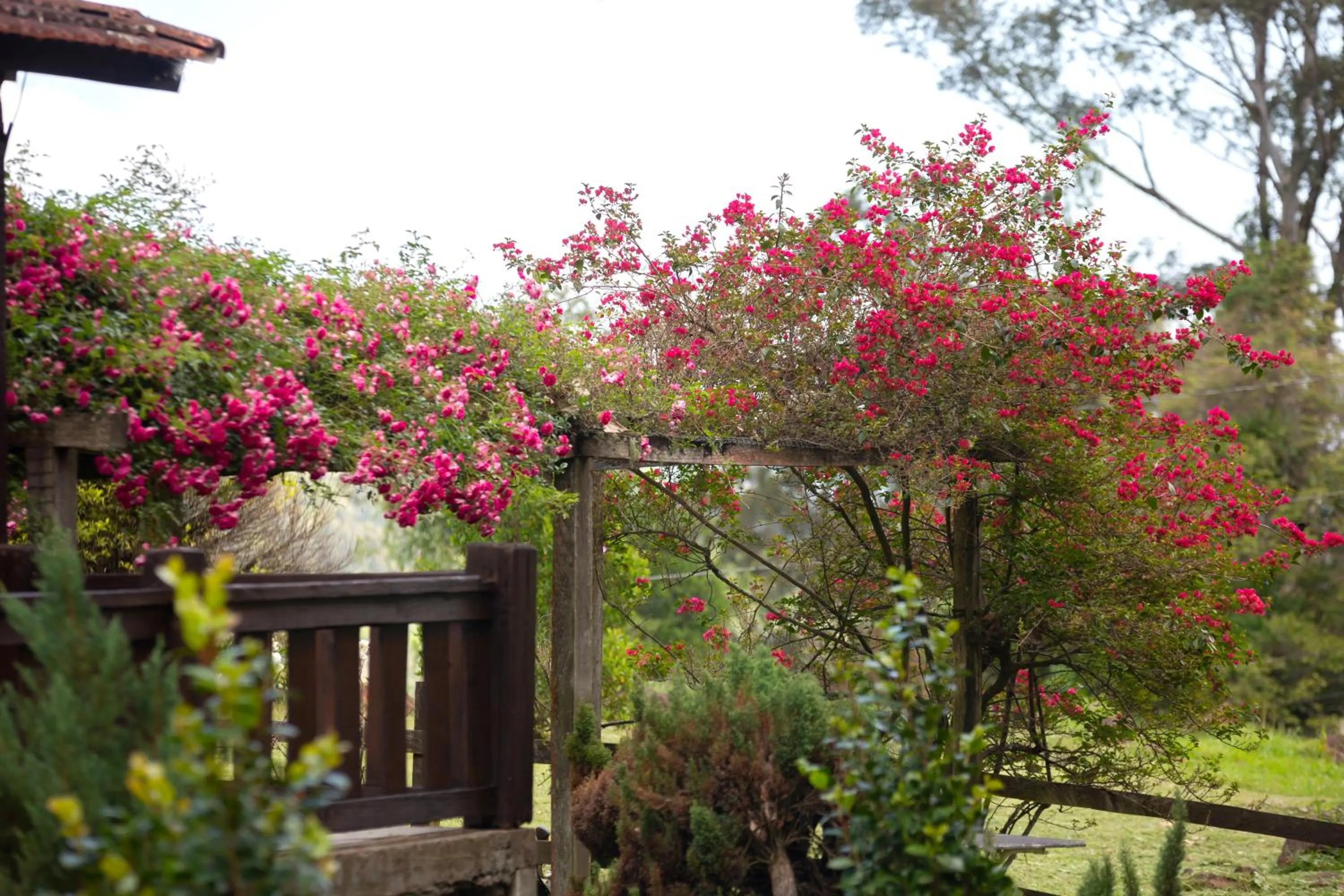 Natural landscape in Pousada La Vista