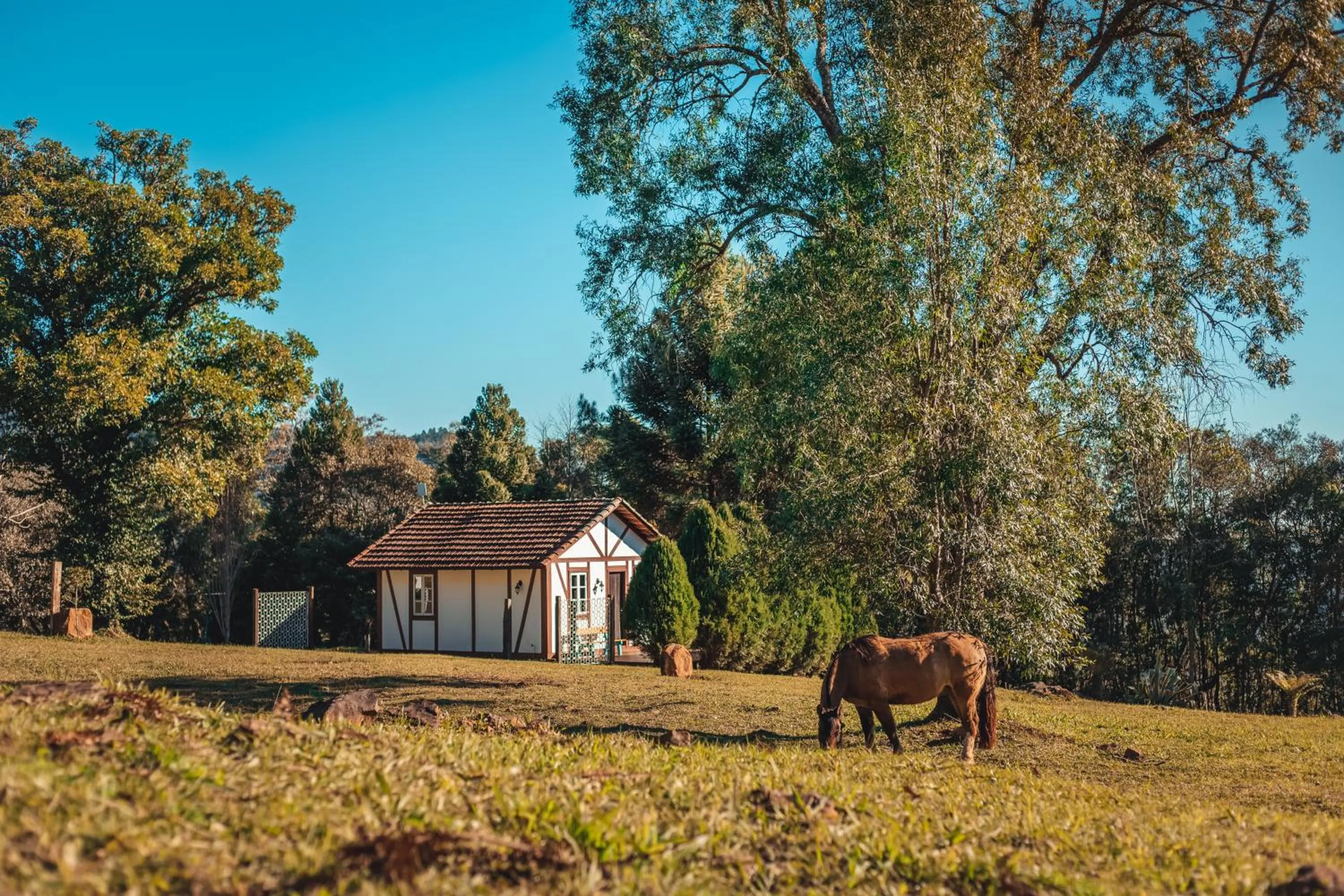 Property building in Pousada La Vista