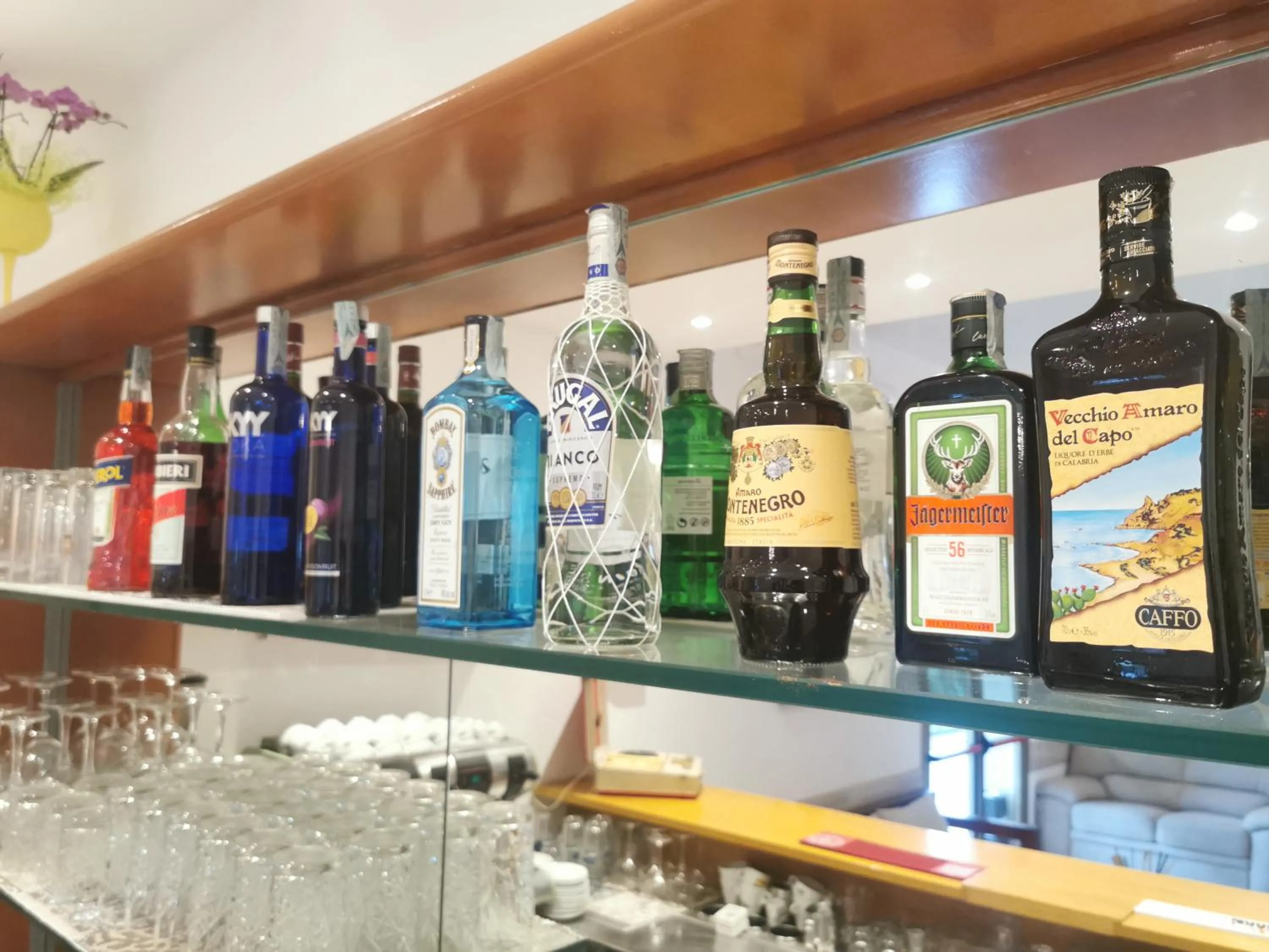 Lounge or bar in Hotel Bellini