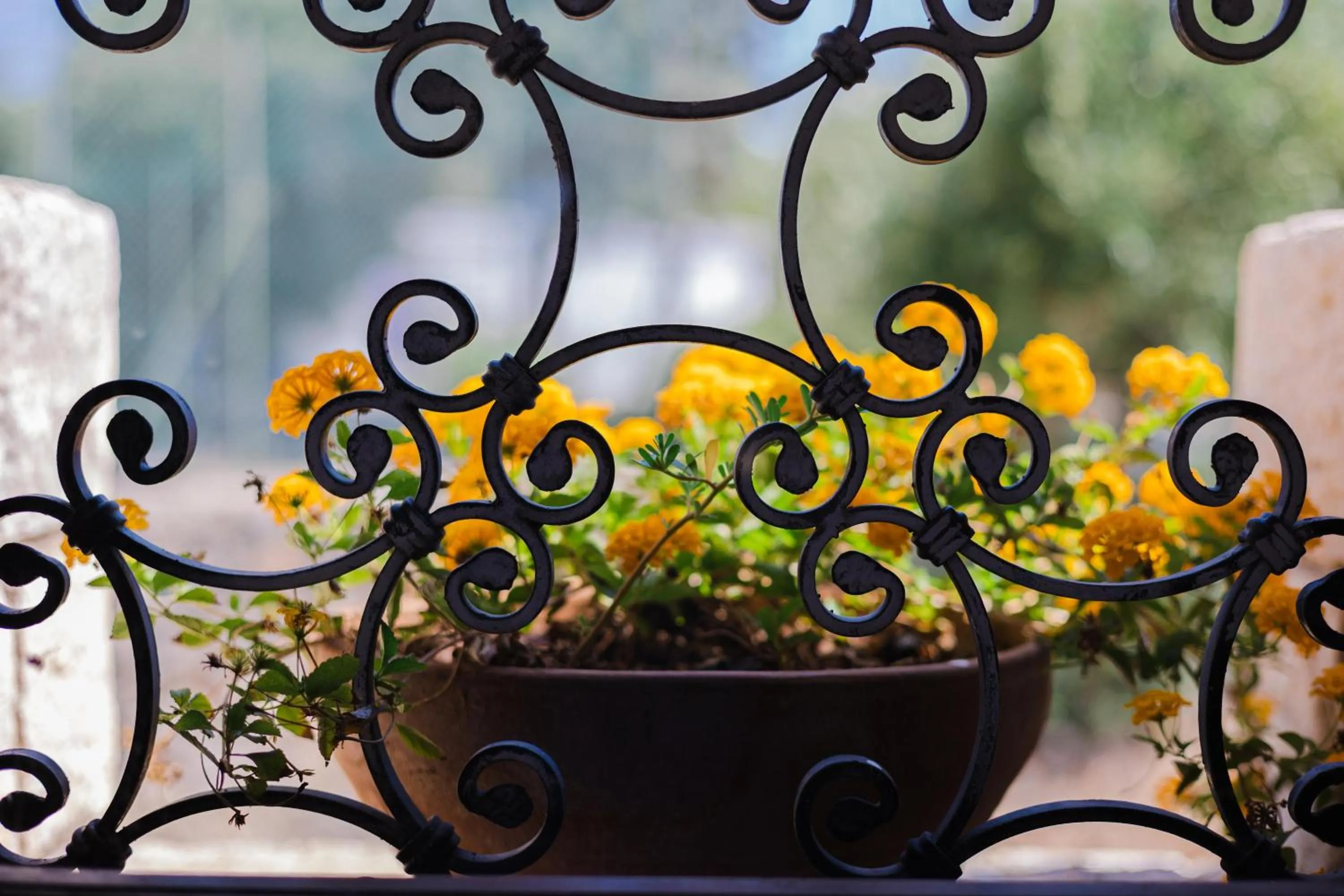 Photo of the whole room in Porto Giardino - CDSHotels