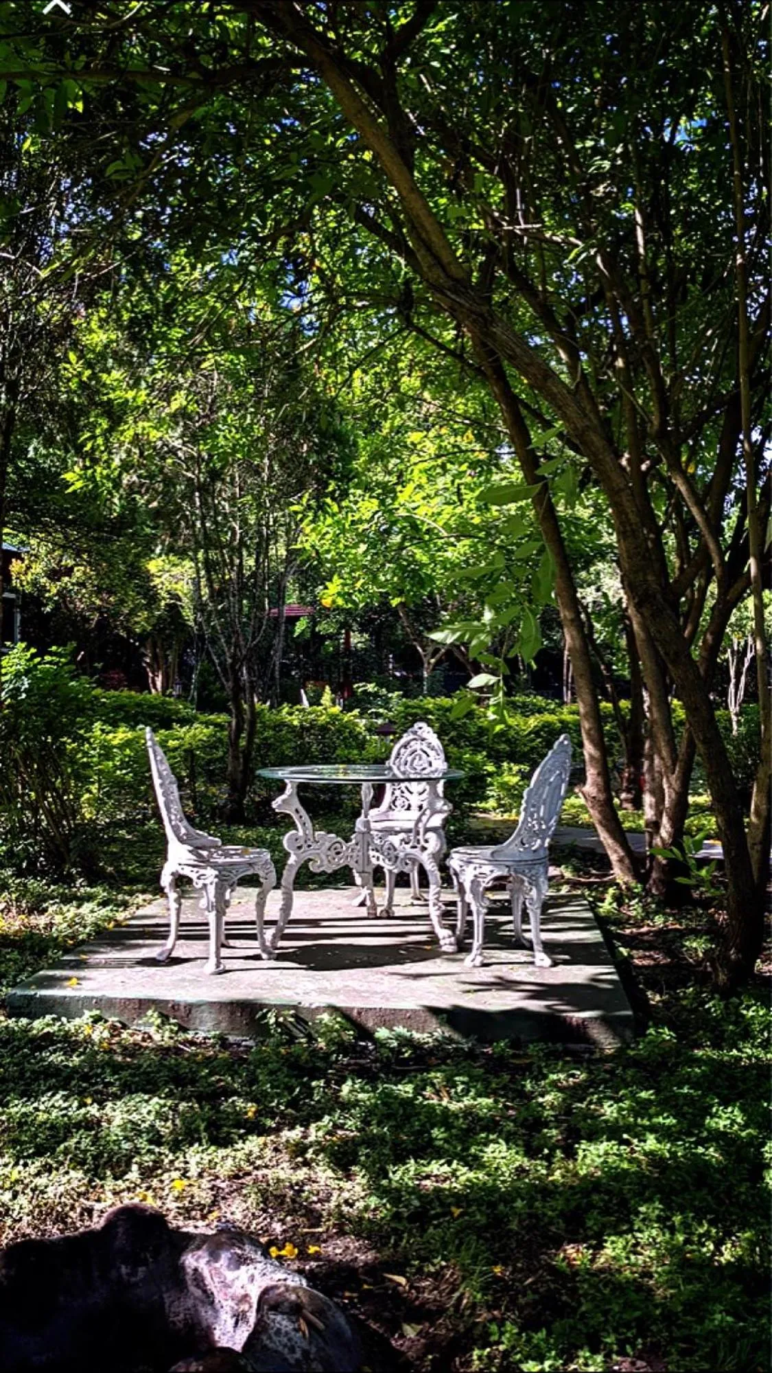Chalets Resort Masinagudi