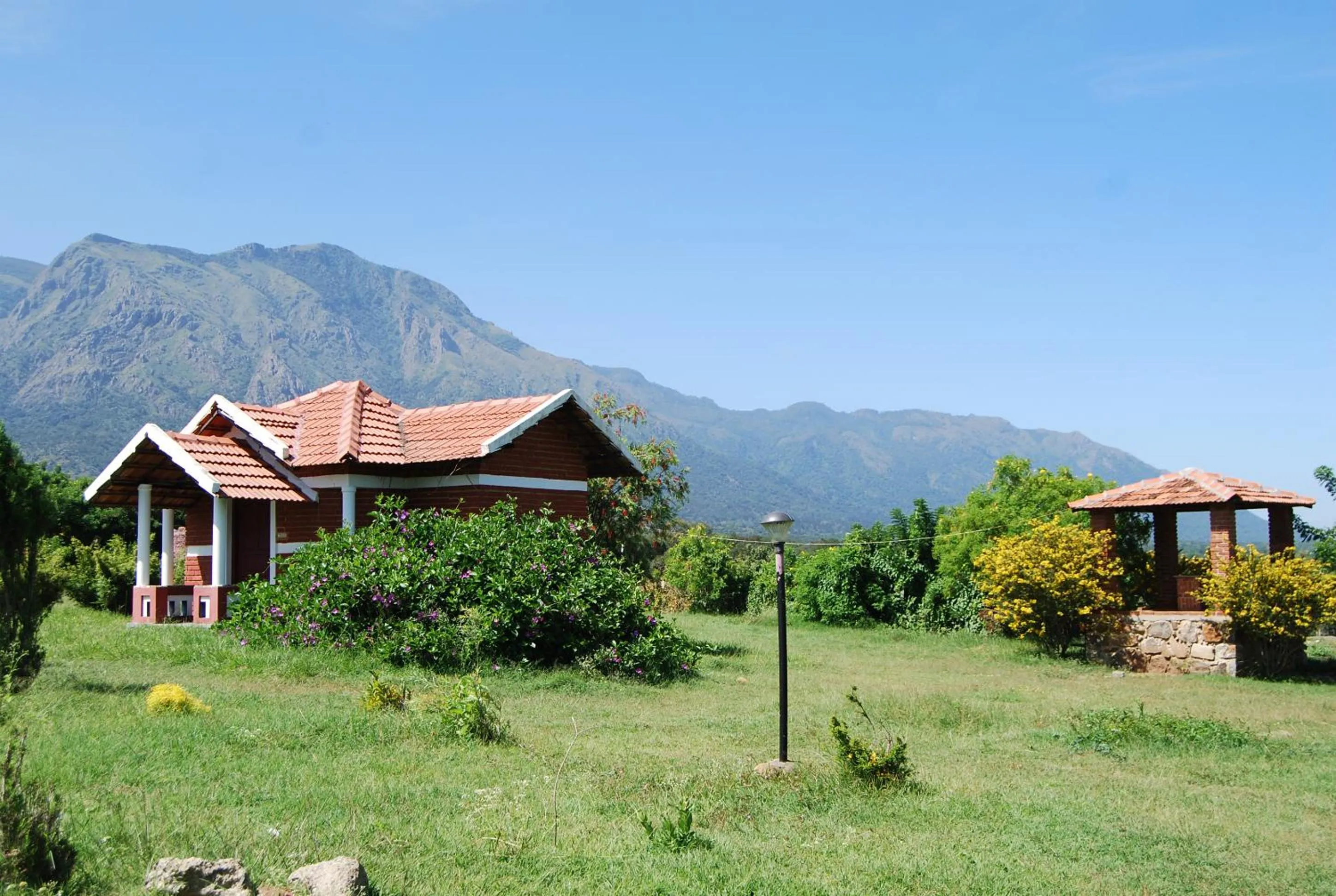 Garden in Chalets Resort Masinagudi