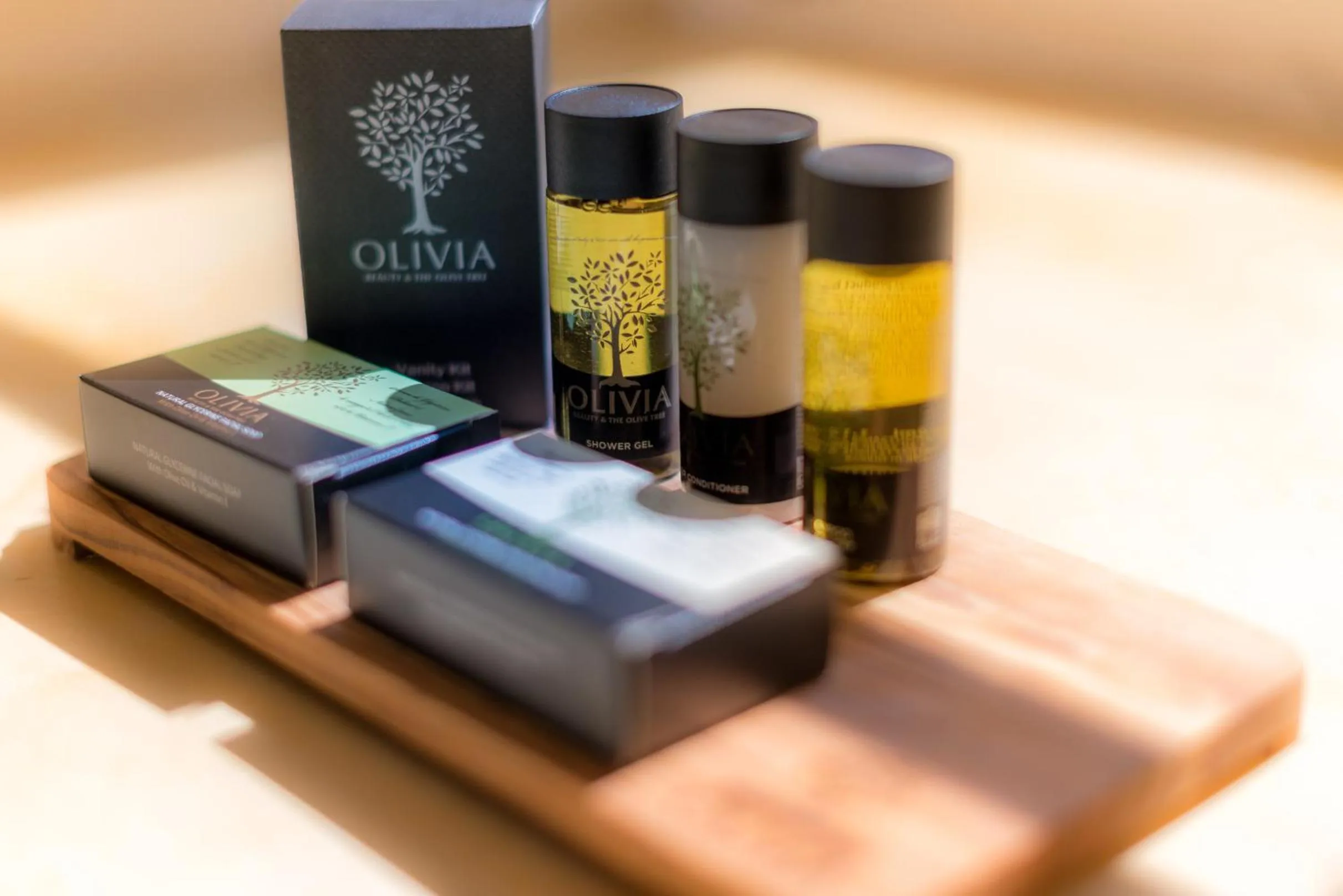 Area and facilities in Palladian Home