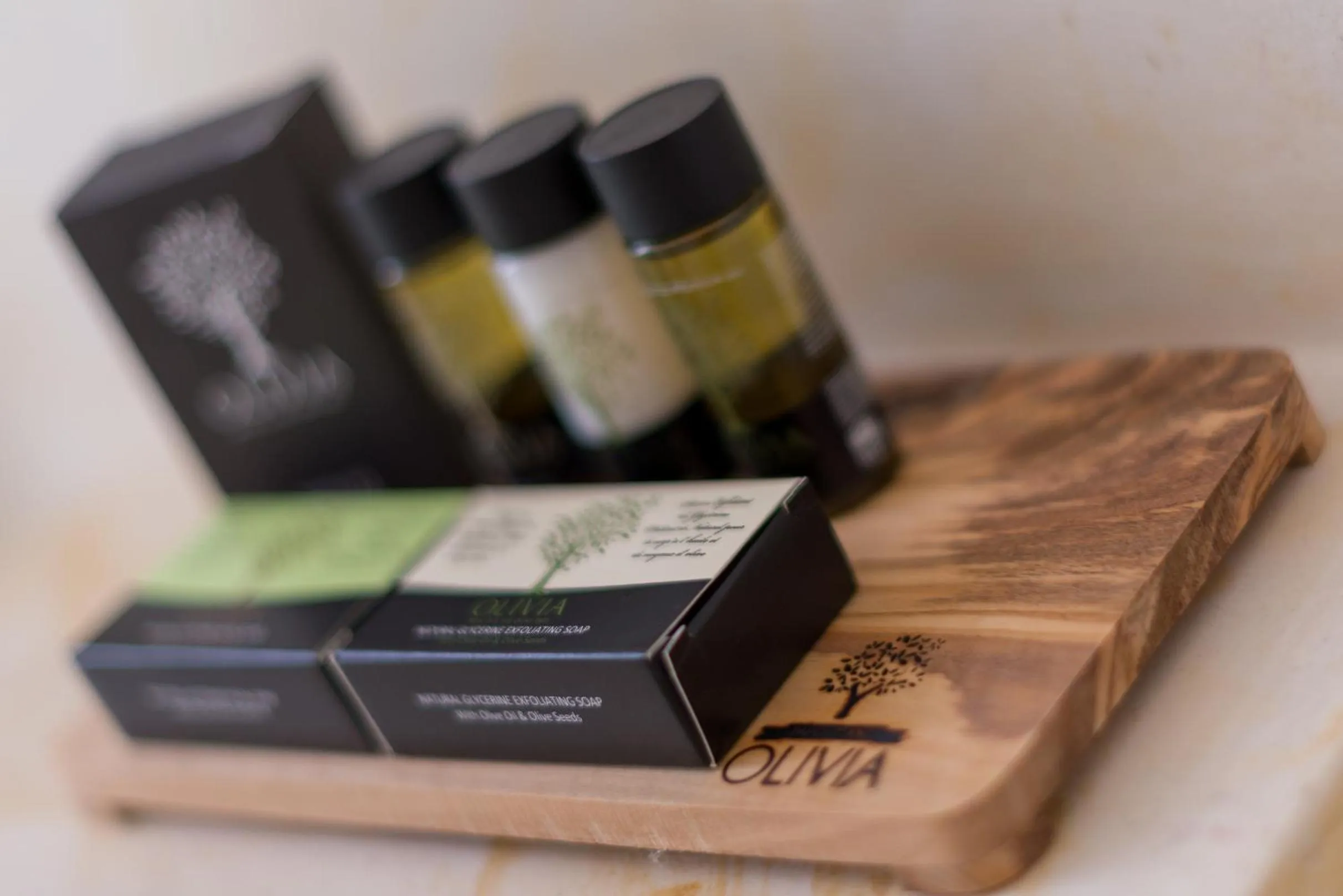 Area and facilities in Palladian Home