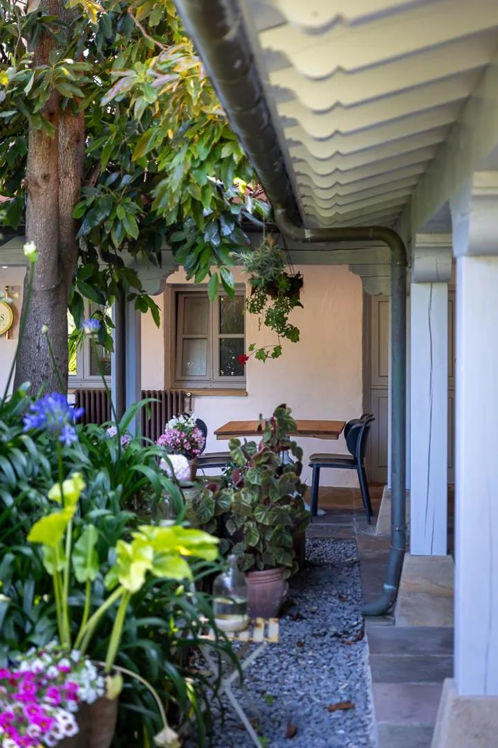 Garden in Casona Las Cinco Calderas