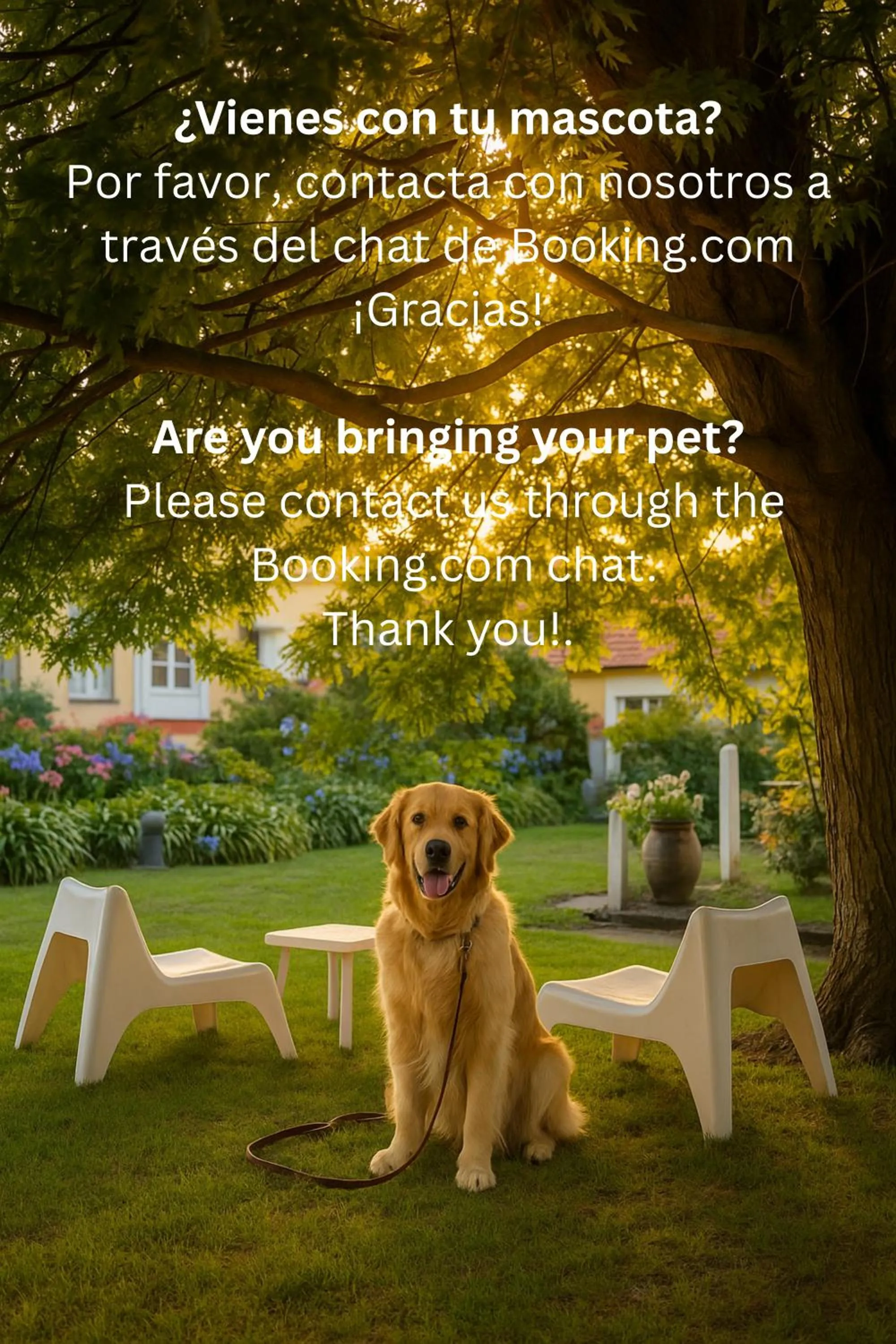 Animals in Casona Las Cinco Calderas