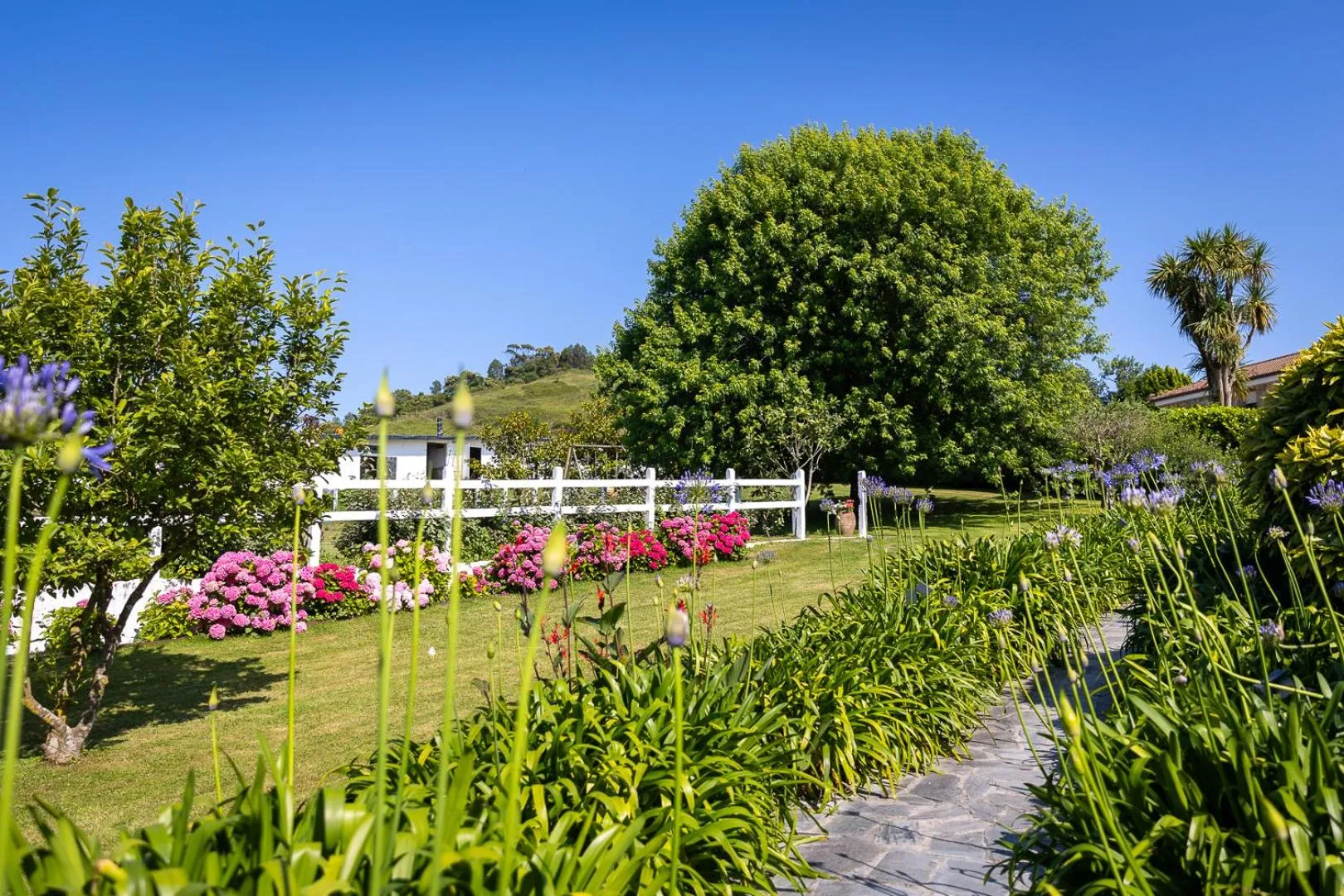 Garden in Casona Las Cinco Calderas