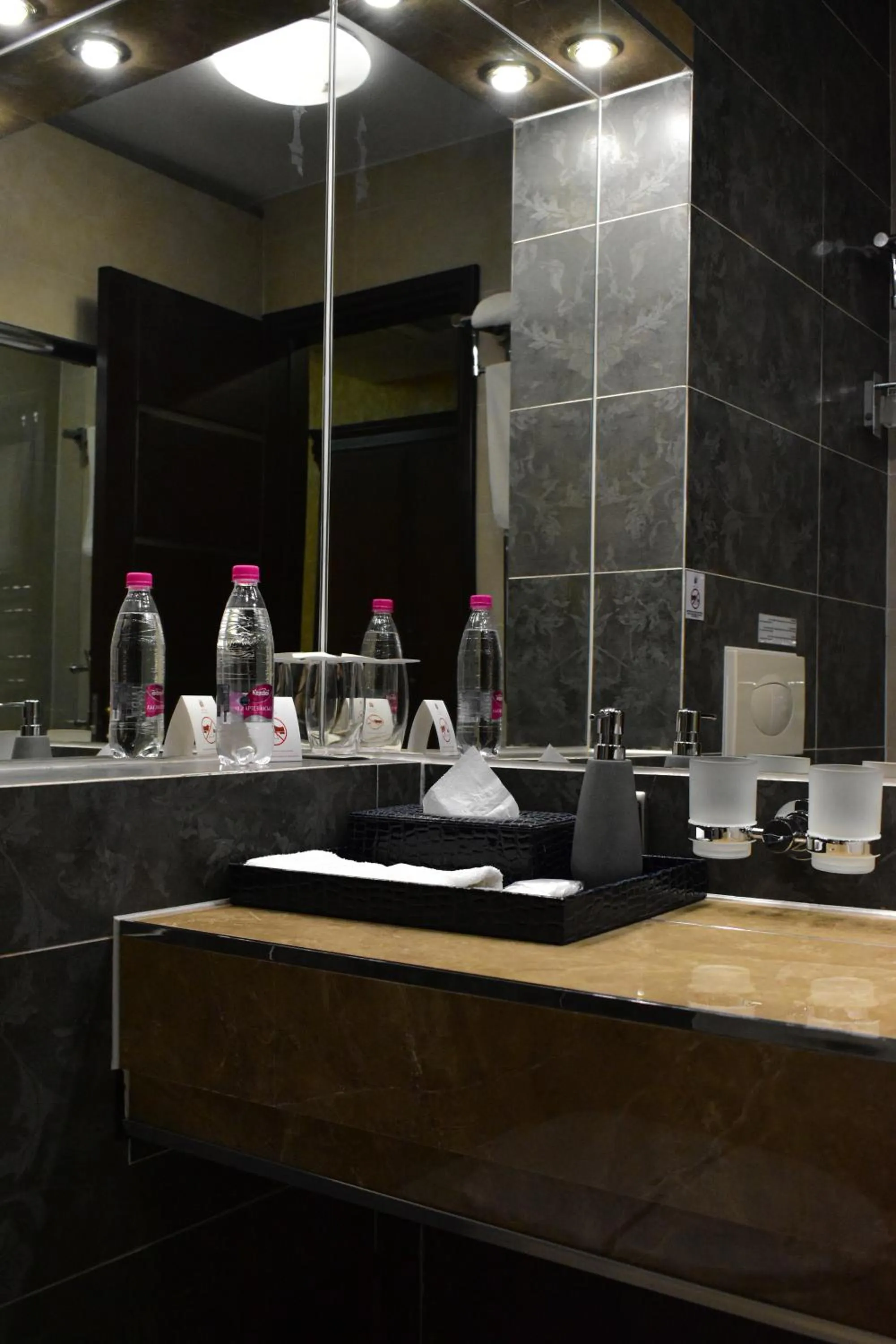 Facility for disabled guests in Hotel Feride