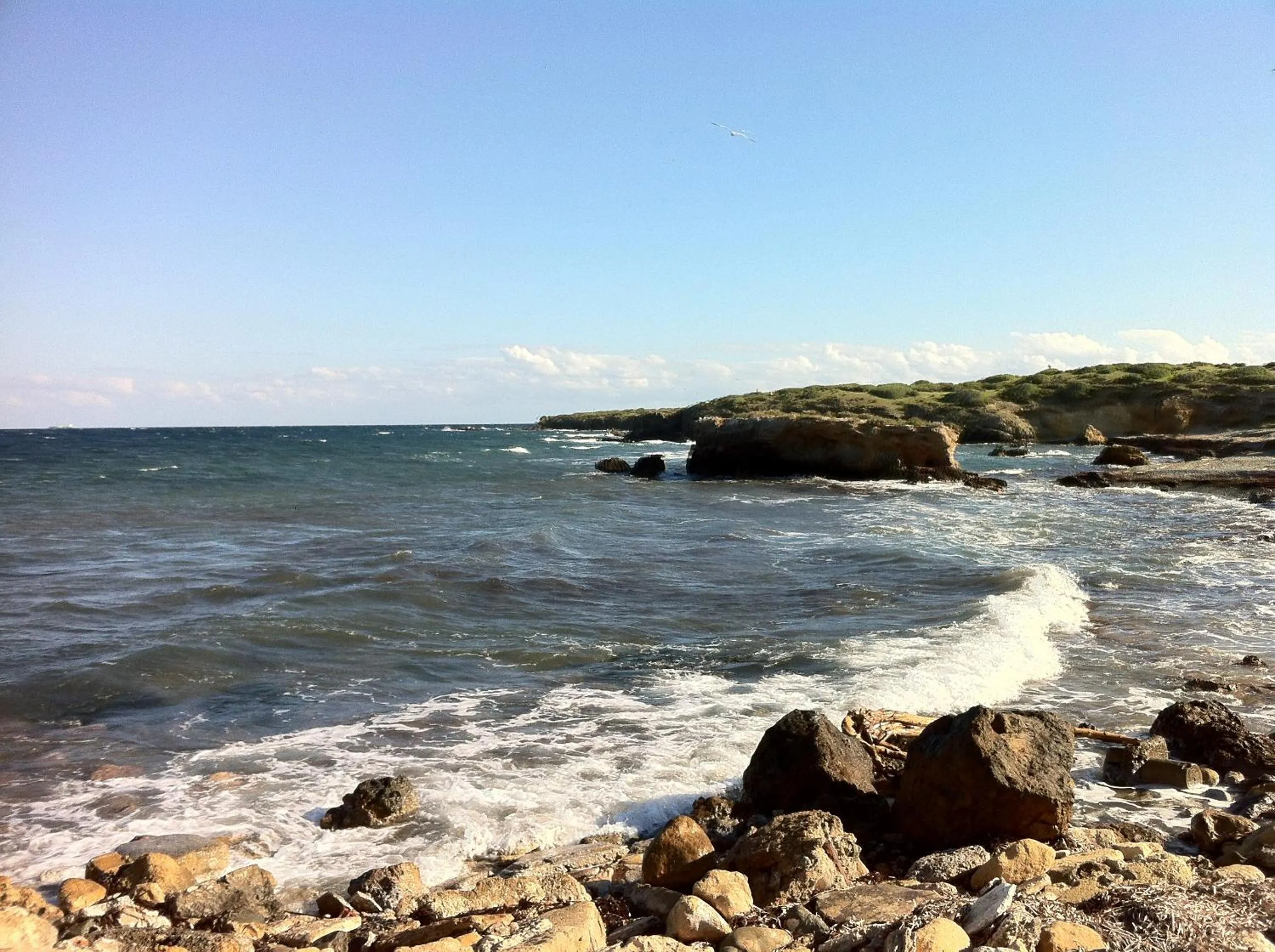 Area and facilities in Boutique Isla Tabarca