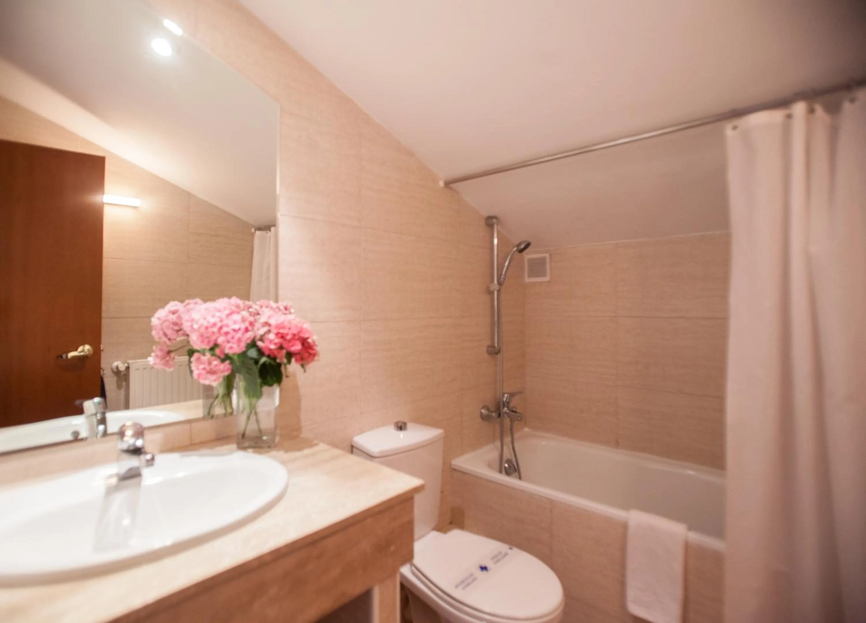 Bathroom in Hotel Montané