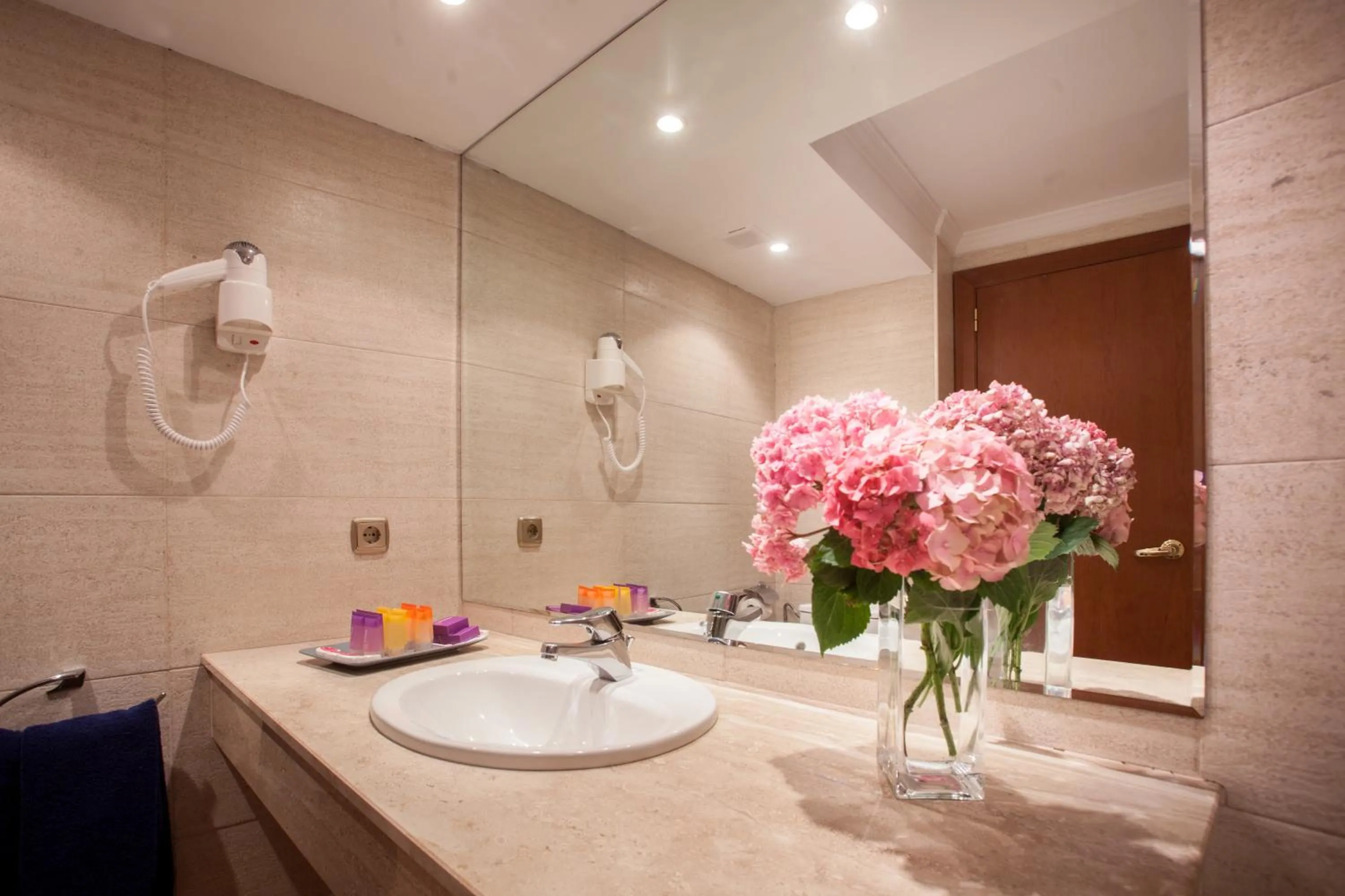 Bathroom in Hotel Montané