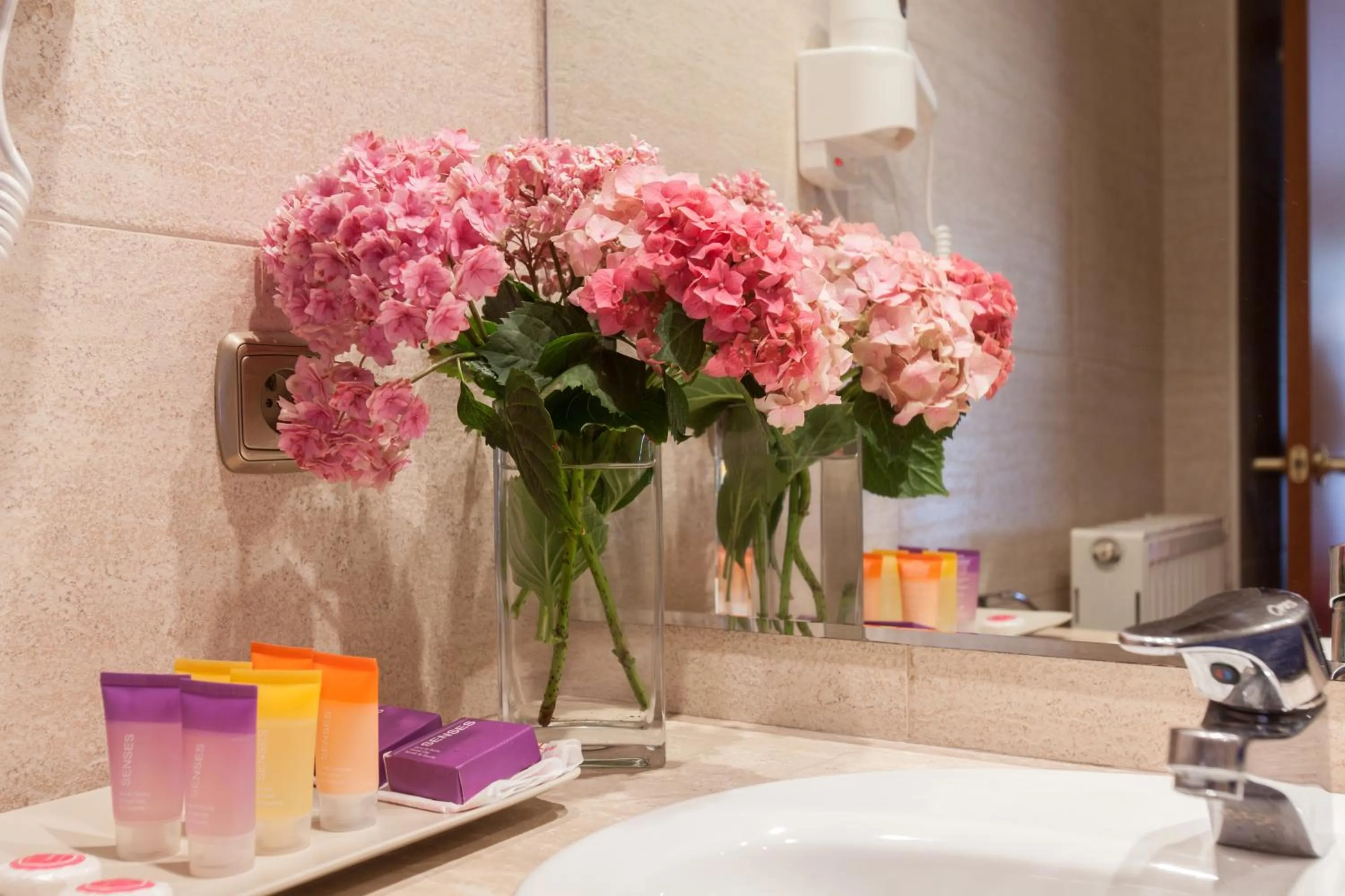 Other in Hotel Montané