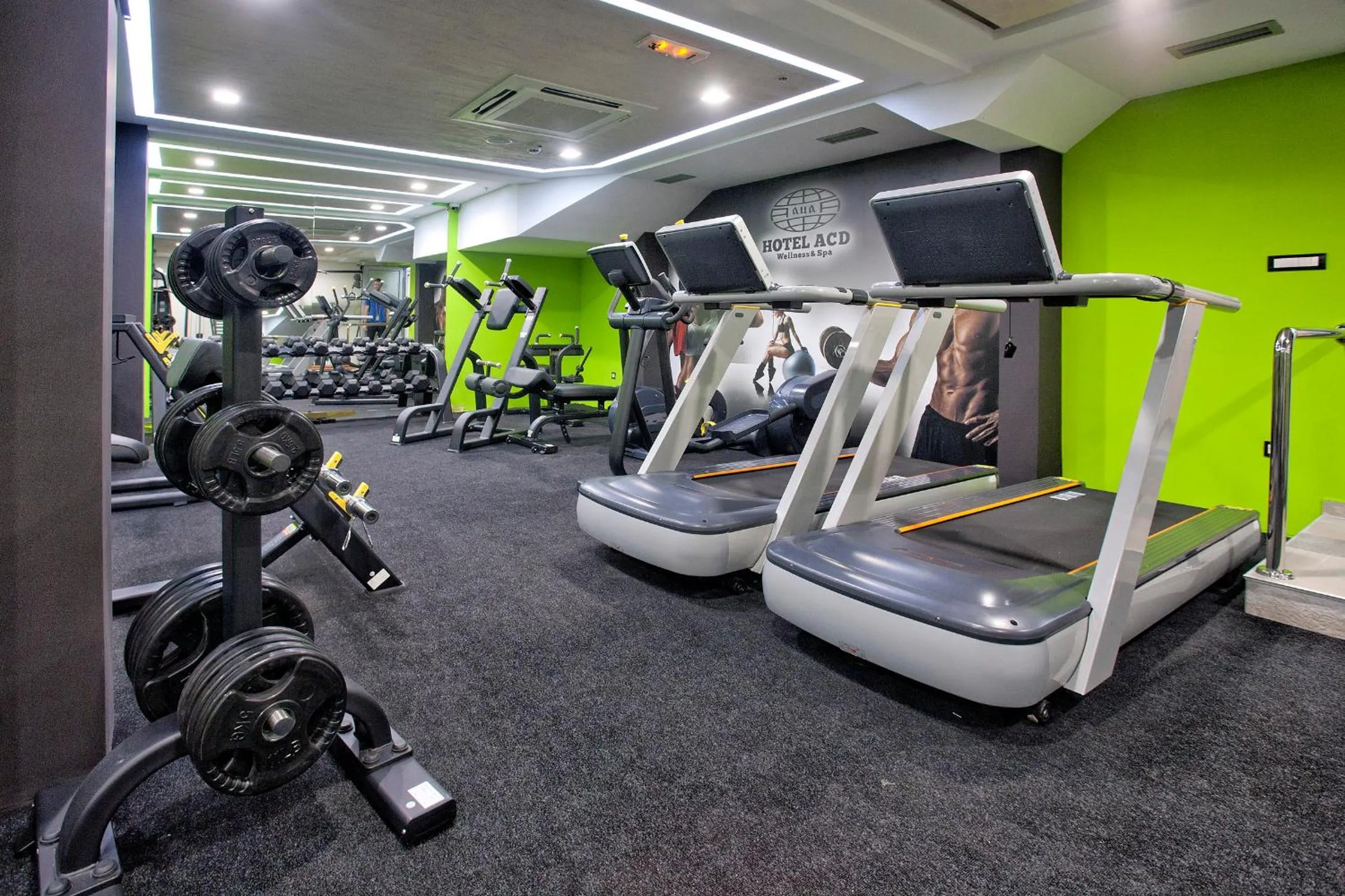 Activities in Wellness & Spa Hotel ACD