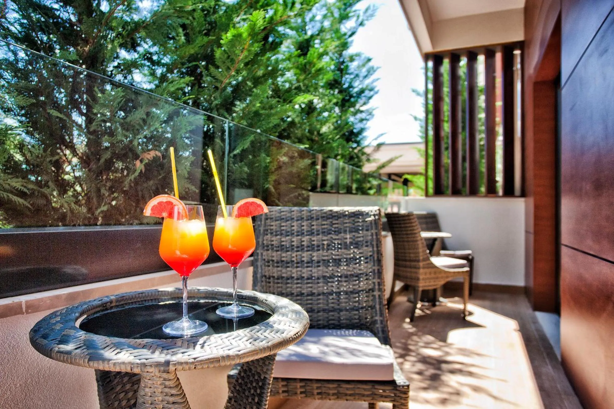 Balcony/Terrace in Wellness & Spa Hotel ACD