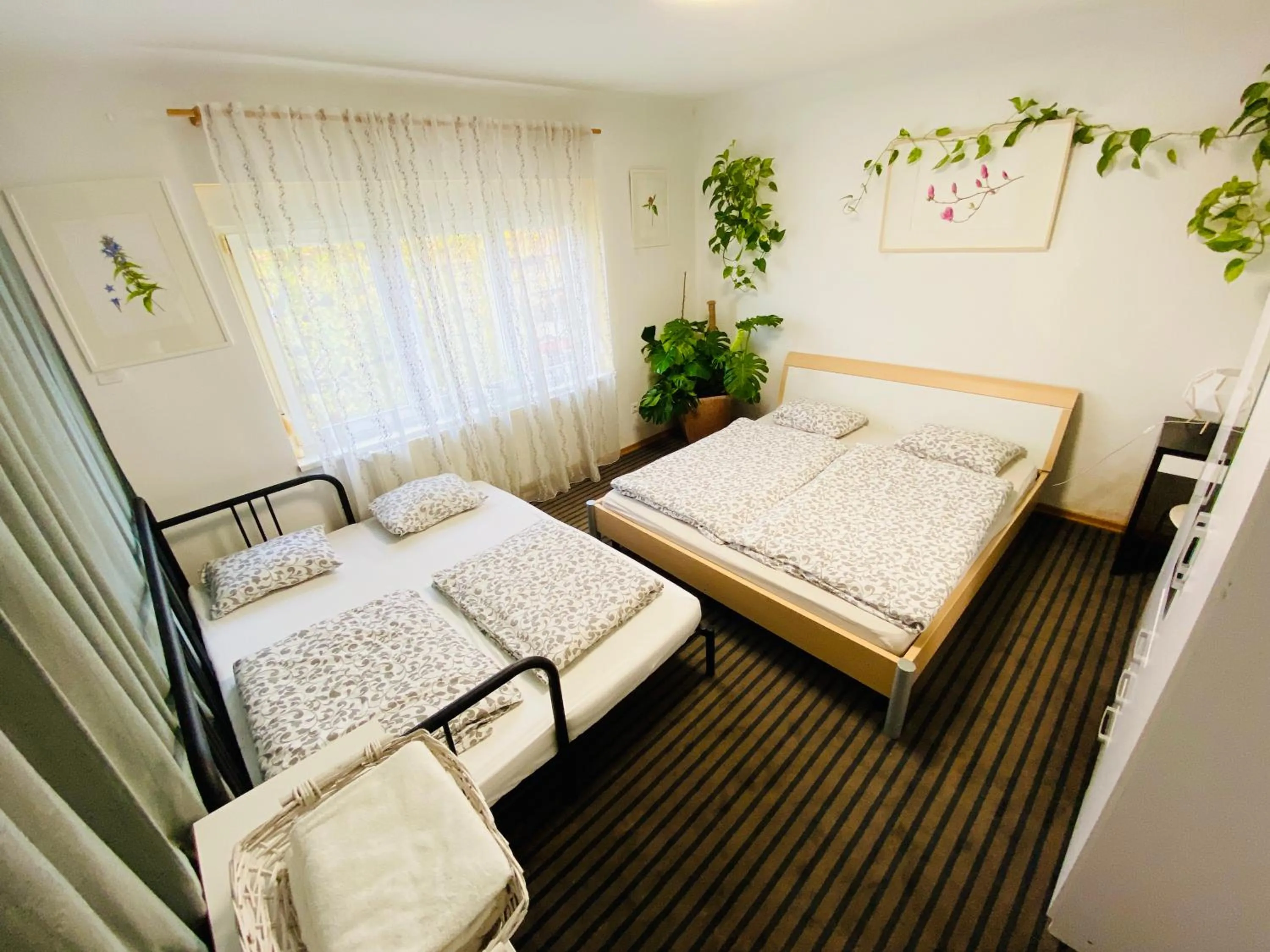 Bed in Family Guesthouse GreenSLO