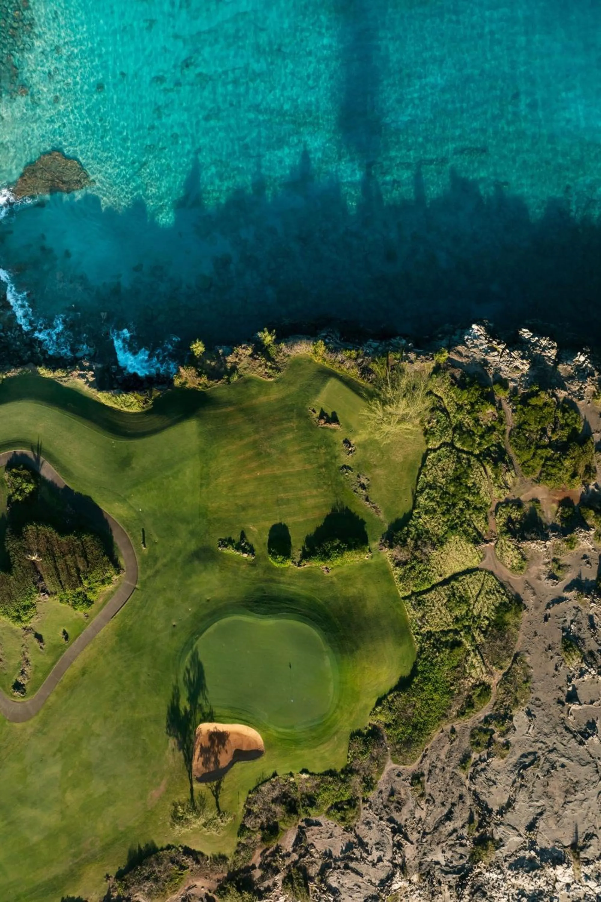 Other in The Ritz-Carlton Maui, Kapalua