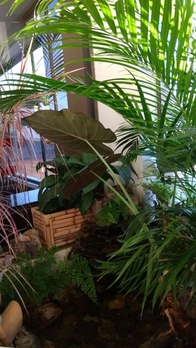 Santa Clara Hotel e Restaurante