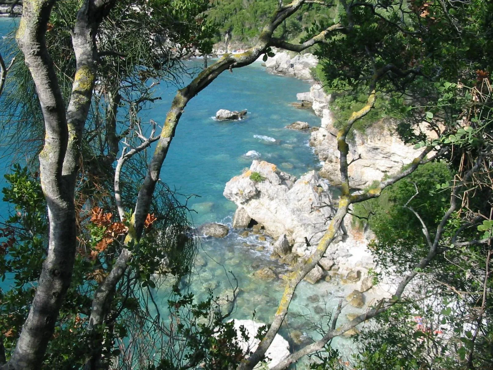Natural landscape in Shambala Apartments