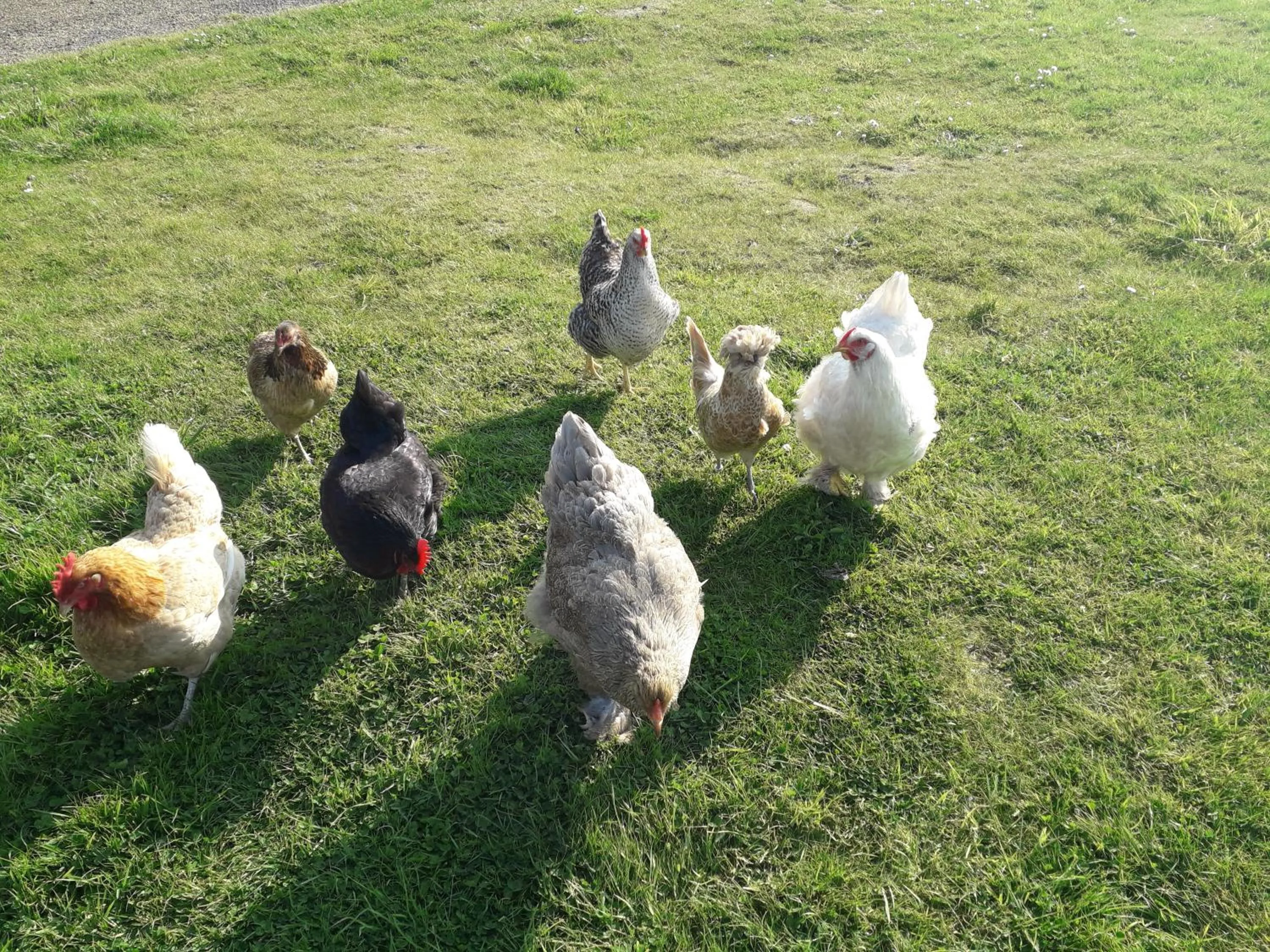 Garden in Mon petit coin de Bretagne