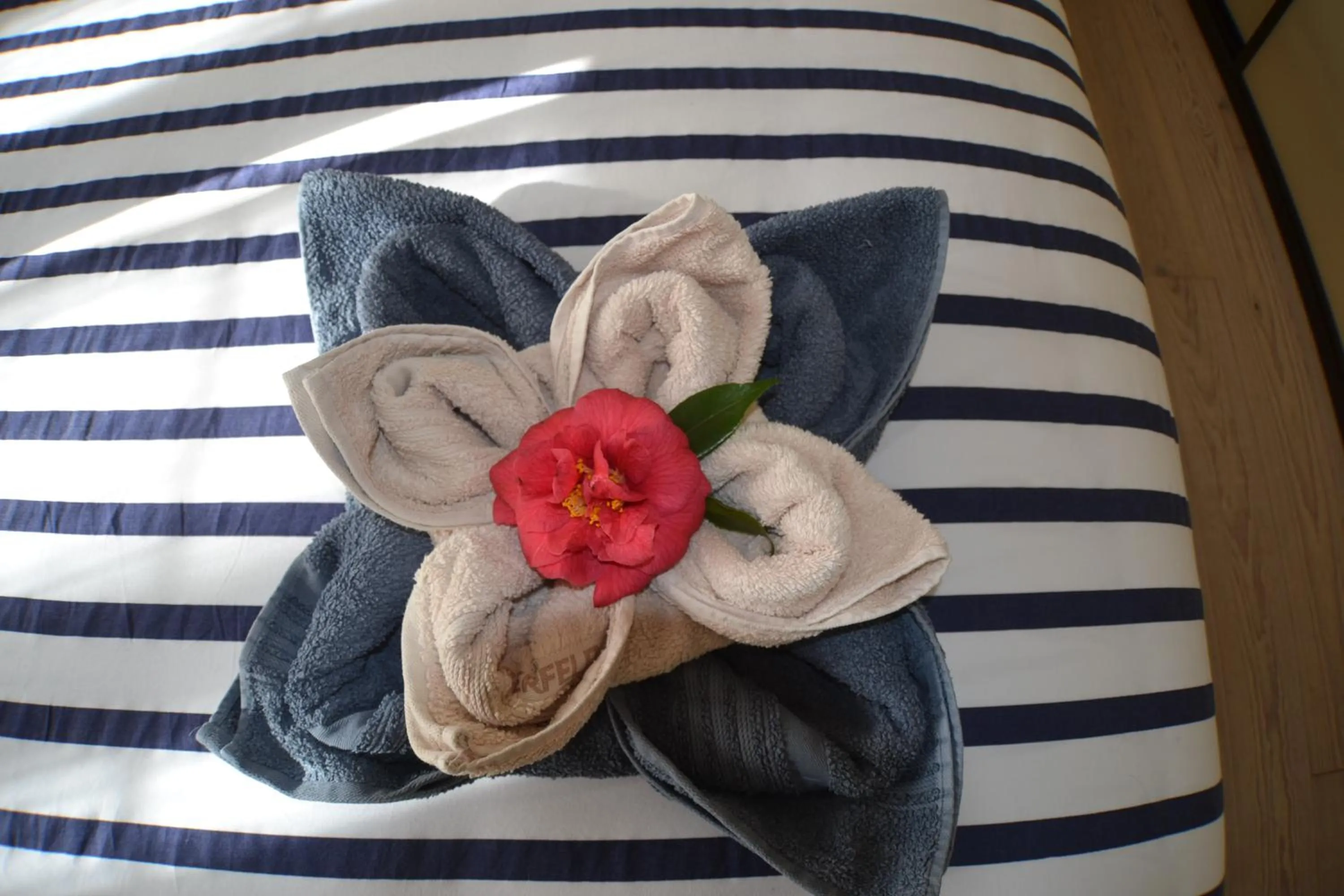 Breakfast, Bed in Mon petit coin de Bretagne