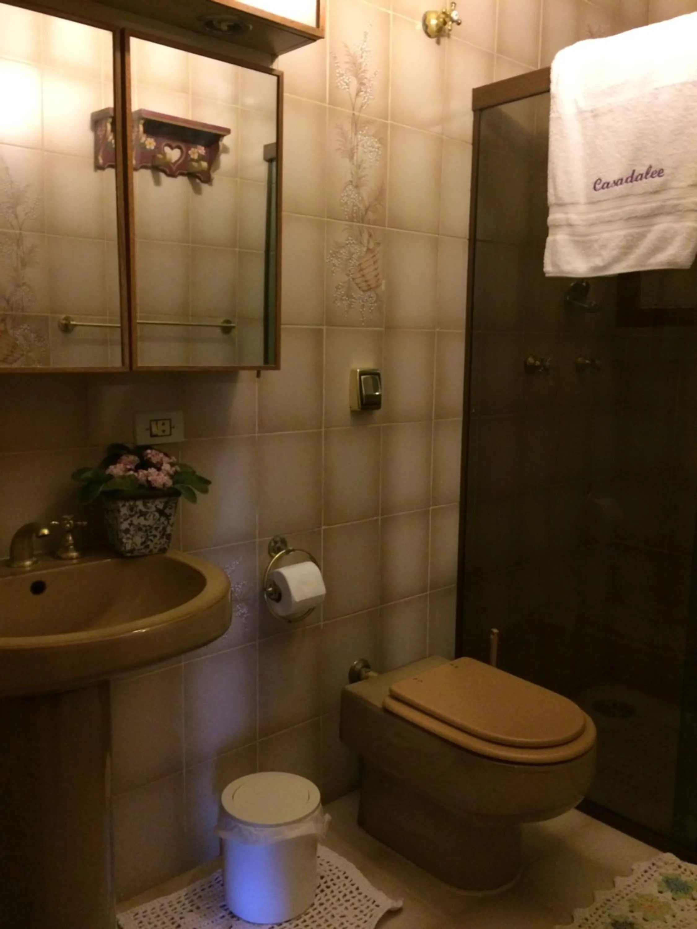 Bathroom in Hospedagem Casadalee chalé com piscina privativa aquecida e Apartamento sem piscina