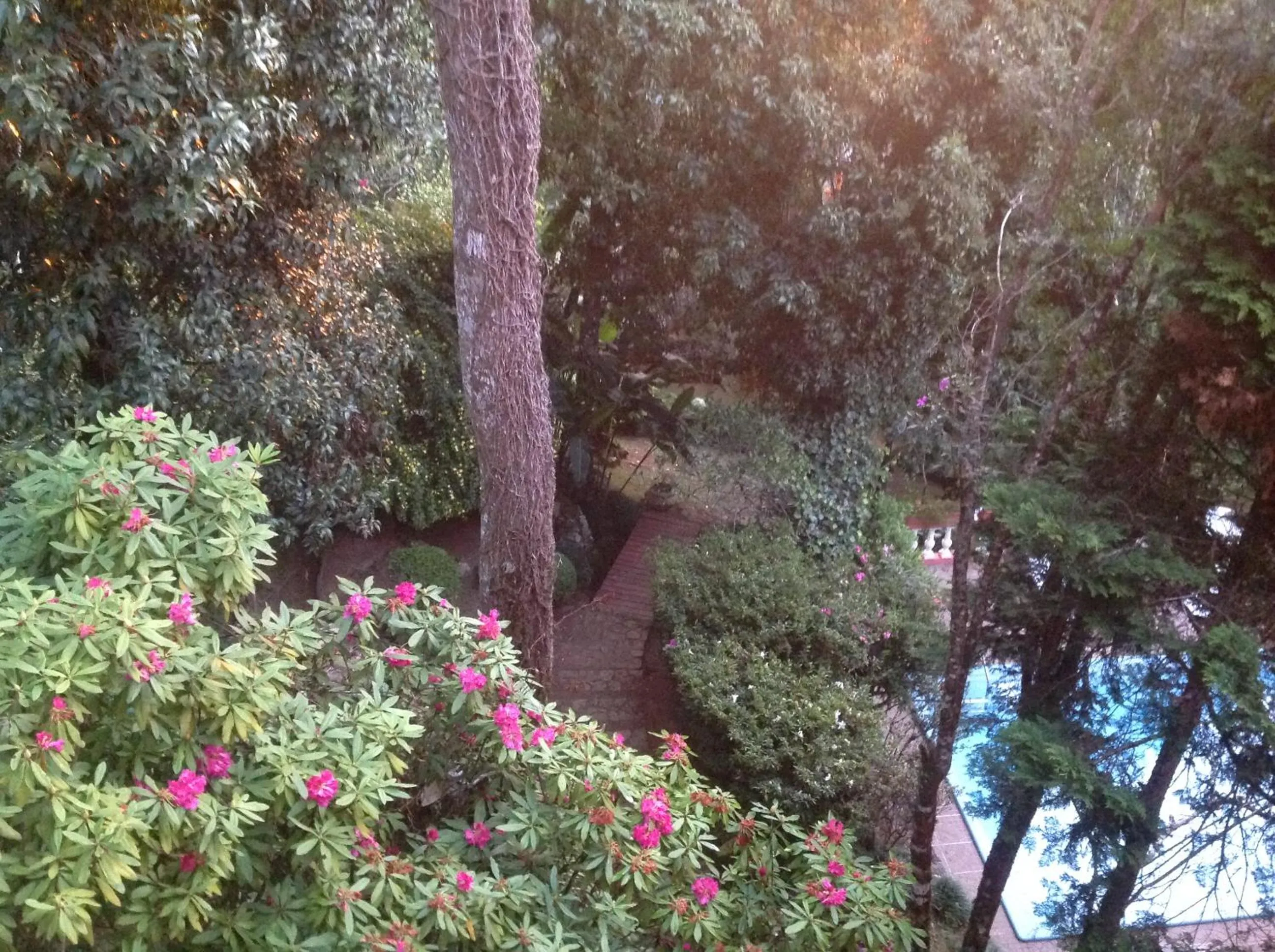 Garden in Hospedagem Casadalee chalé com piscina privativa aquecida e Apartamento sem piscina