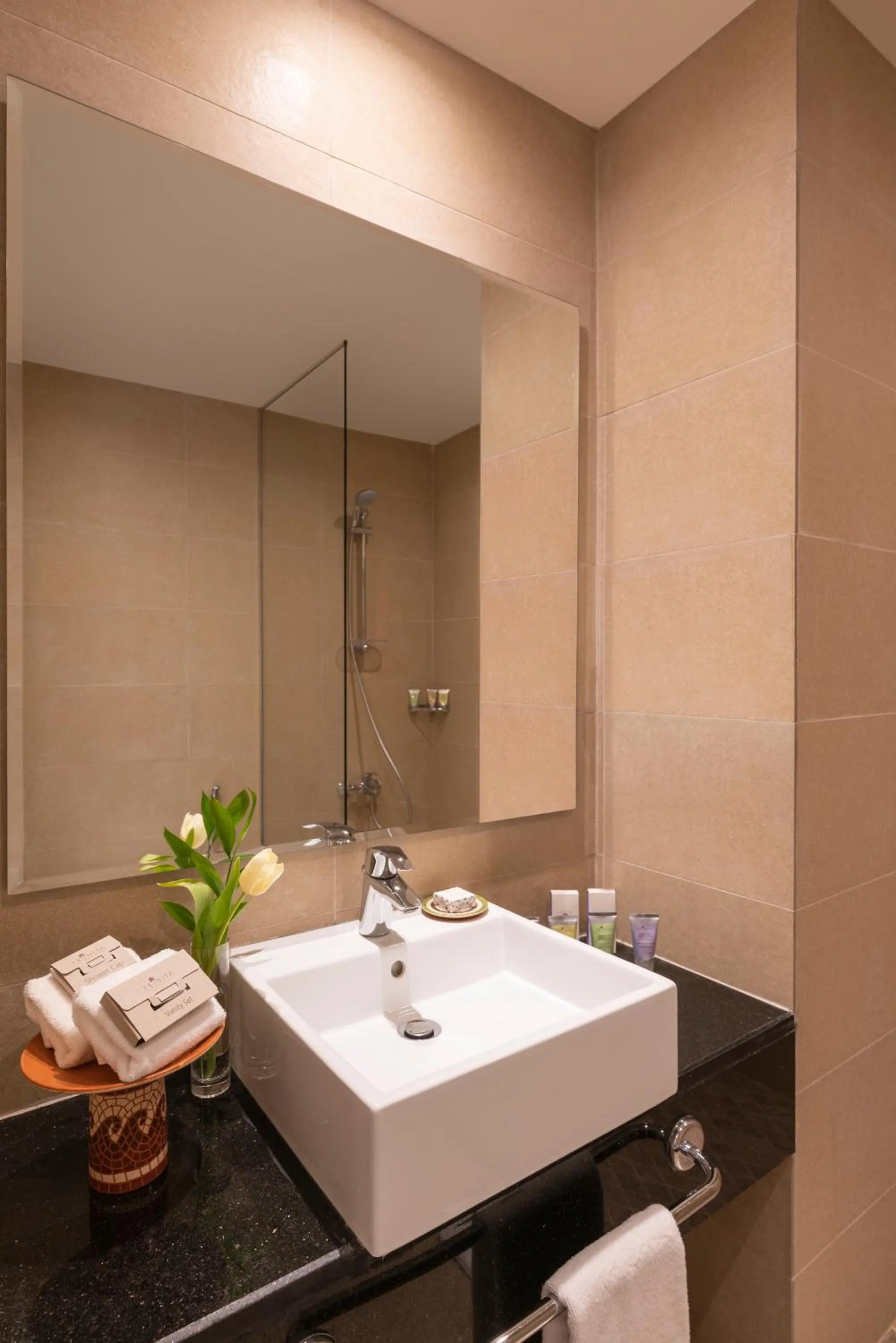 Bathroom in Mövenpick Nabatean Castle Hotel