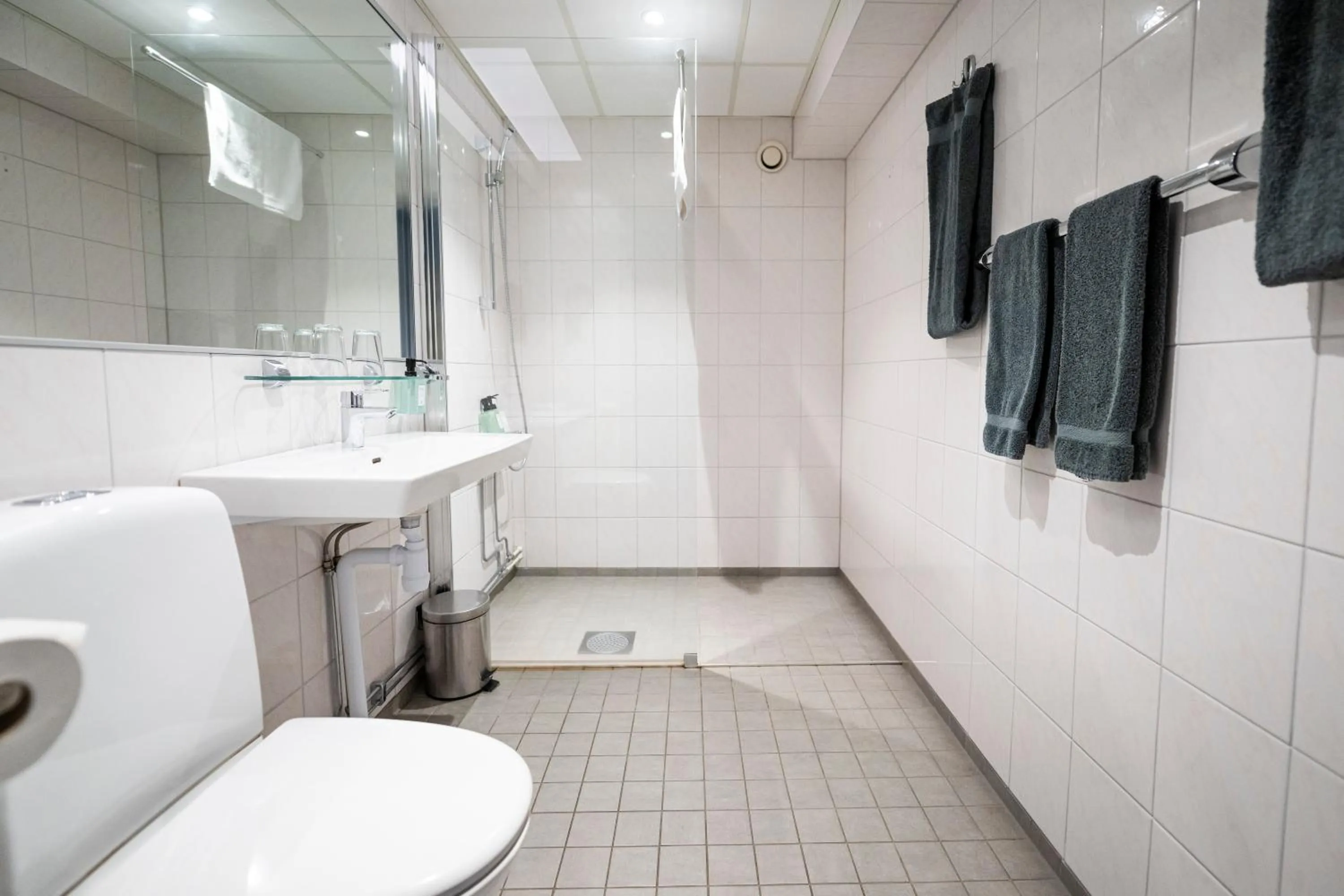 Toilet in Hotel Stensson