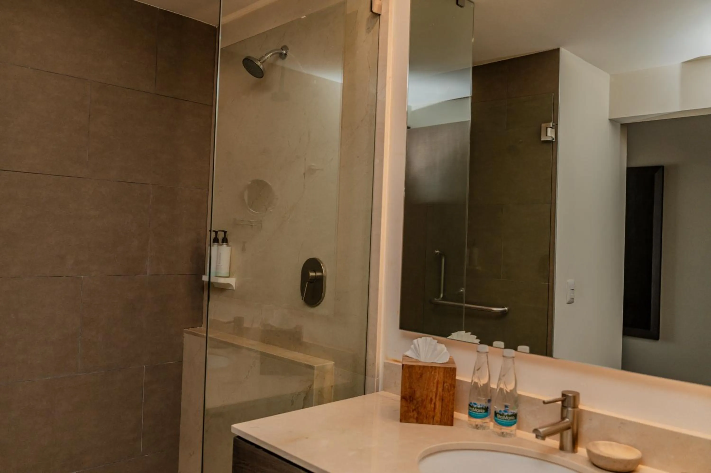 Bathroom in Hampton Inn By Hilton Celaya