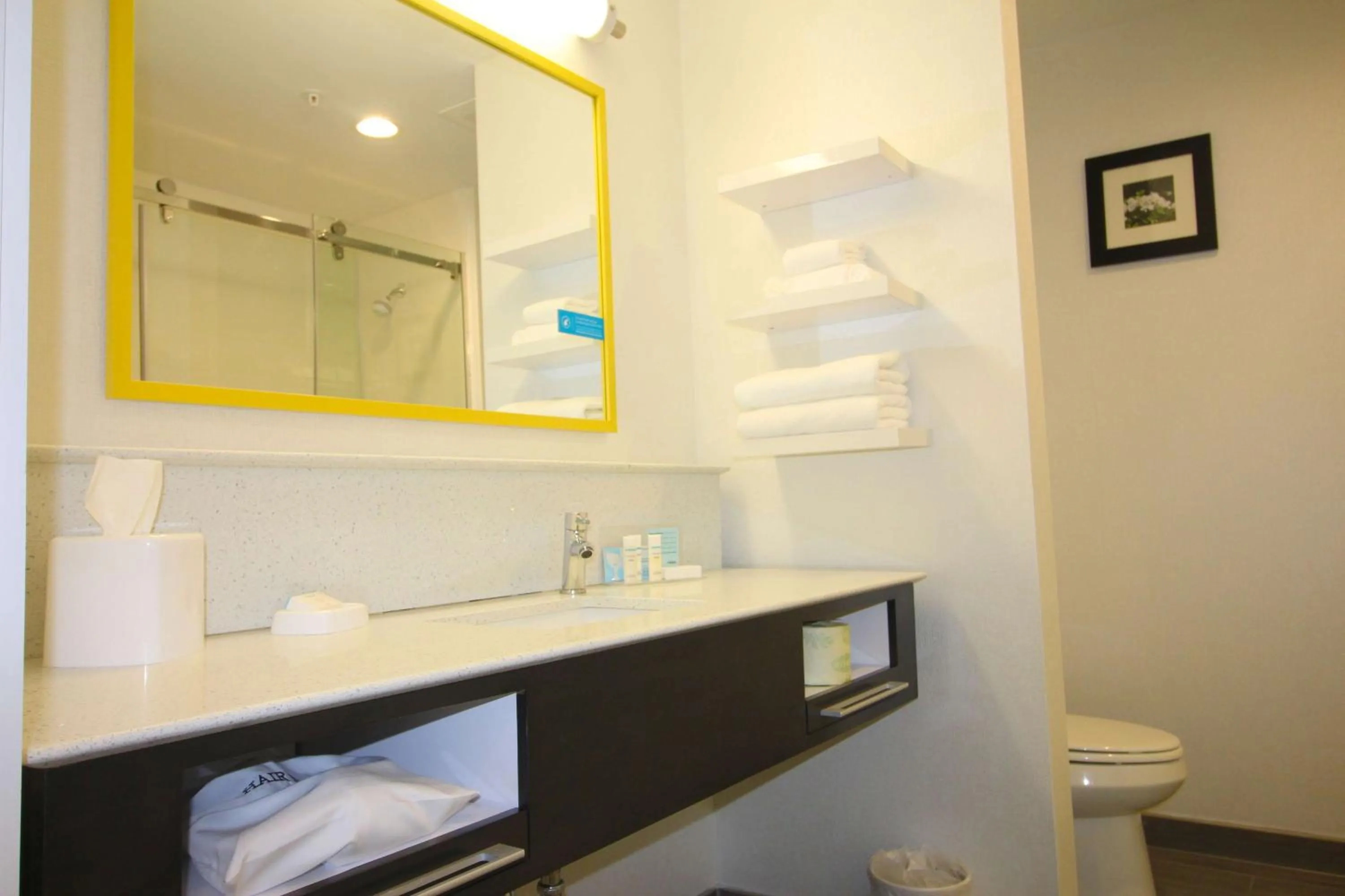 Bathroom in Hampton Inn West Plains